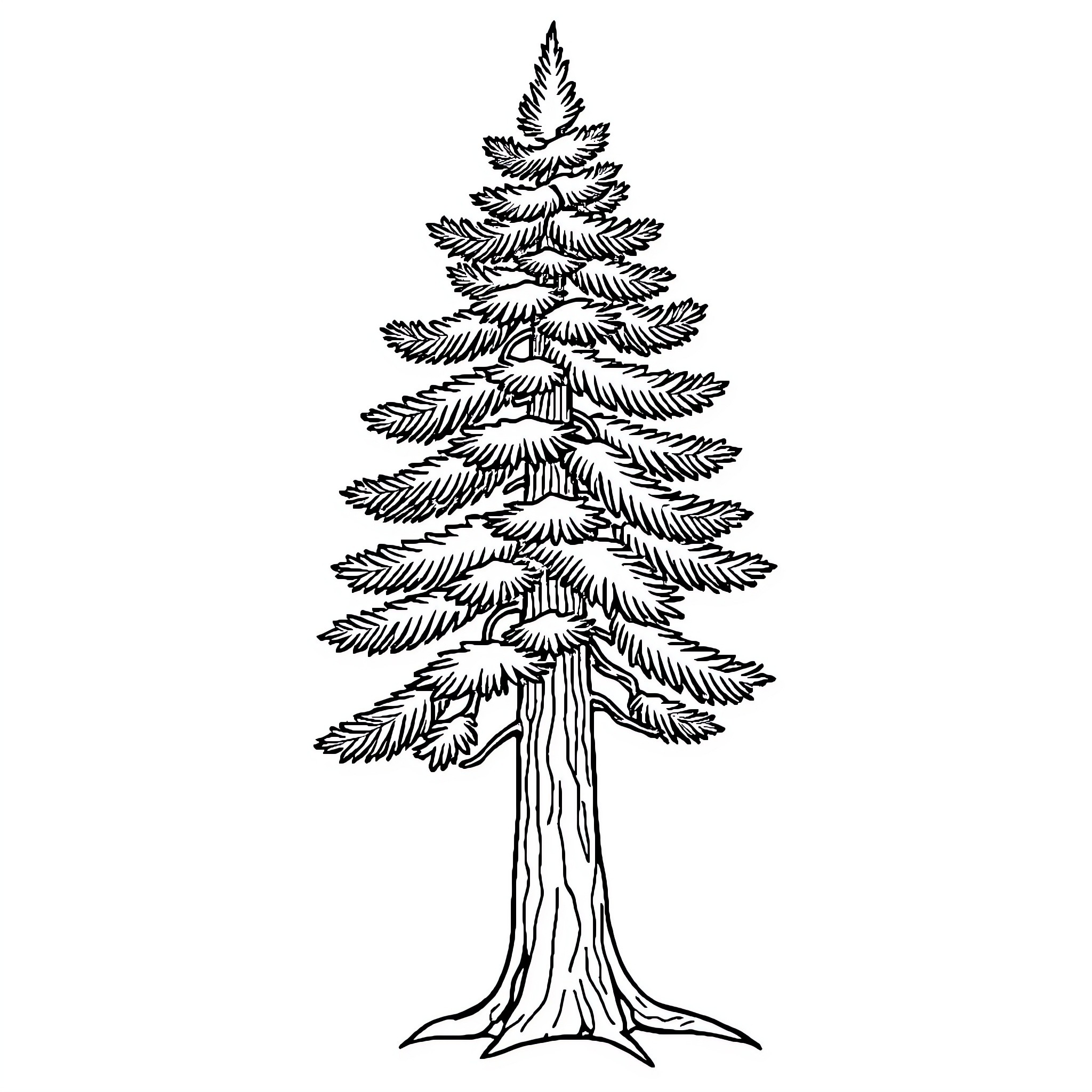 Pine Tree with Detailed Branches and Trunk Coloring Page (free black-and-white line drawing printable PDF for all, from beginners to advanced learners, including children, teens, adults, and seniors)