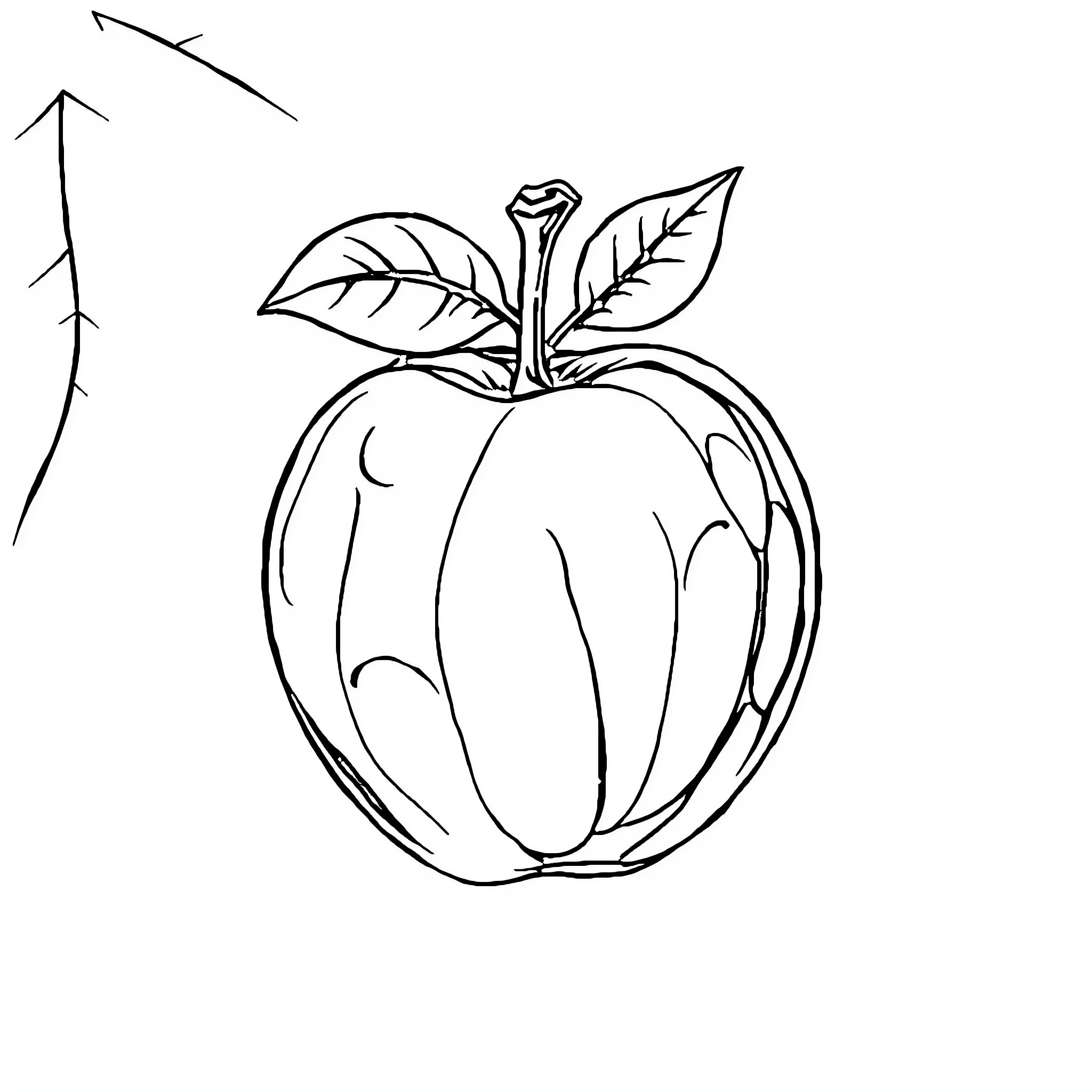 Manzana with simple leaf and stem design Coloring Page (free black-and-white line drawing printable PDF for all, from beginners to advanced learners, including children, teens, adults, and seniors)