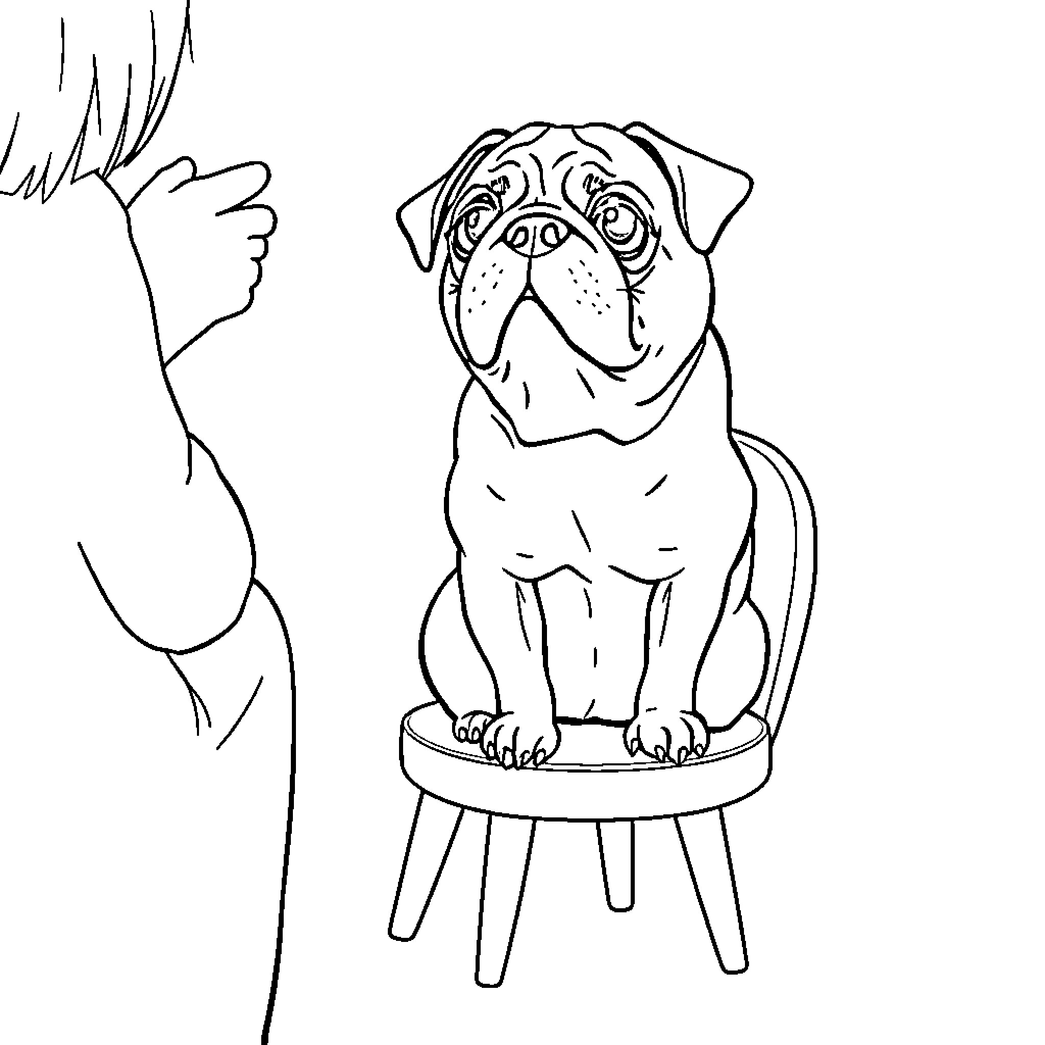 Pug sitting on a chair with a hand reaching Coloring Page (free black-and-white line drawing printable PDF for all, from beginners to advanced learners, including children, teens, adults, and seniors)