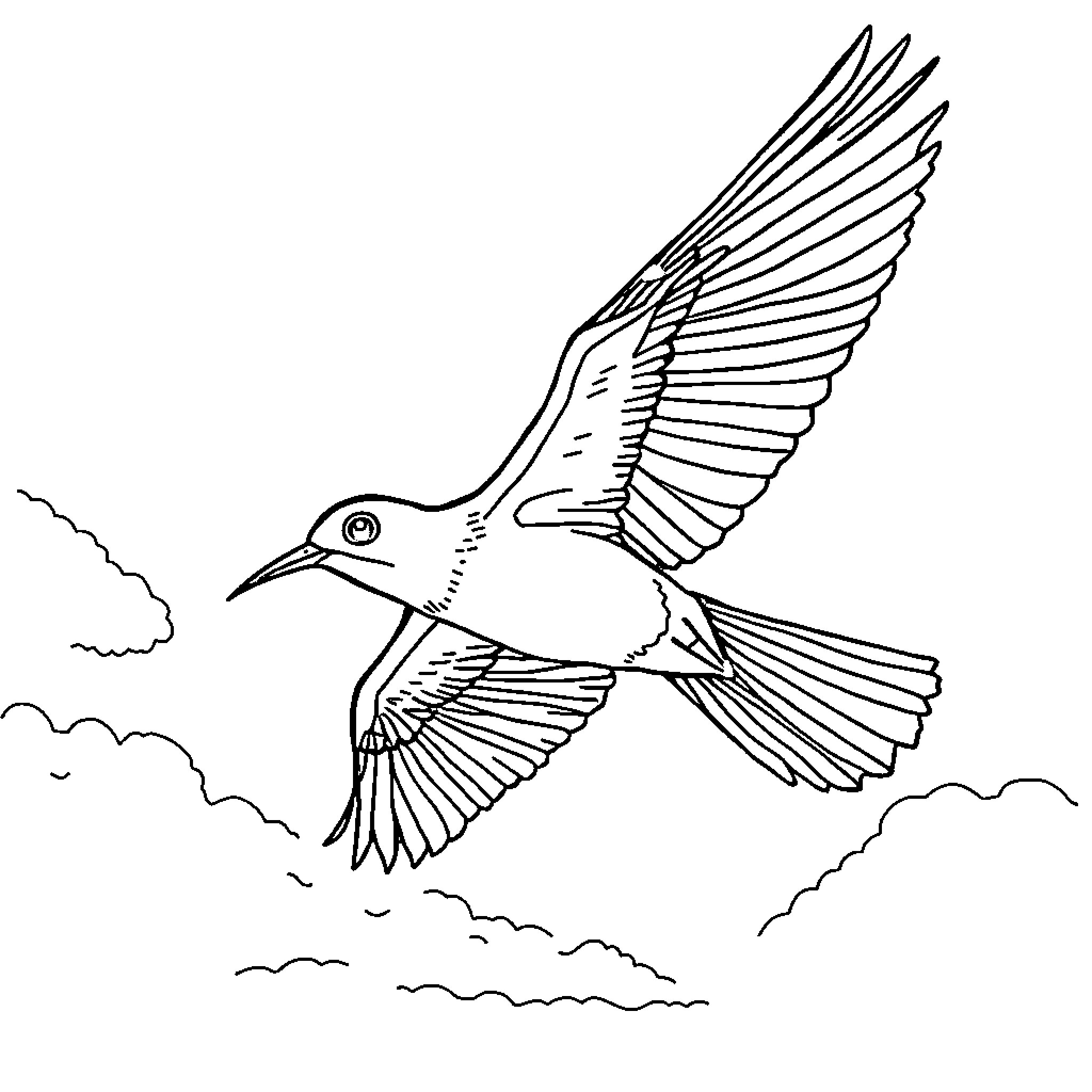 Bird soaring gracefully in the sky Coloring Page (free black-and-white line drawing printable PDF for all, from beginners to advanced learners, including children, teens, adults, and seniors)