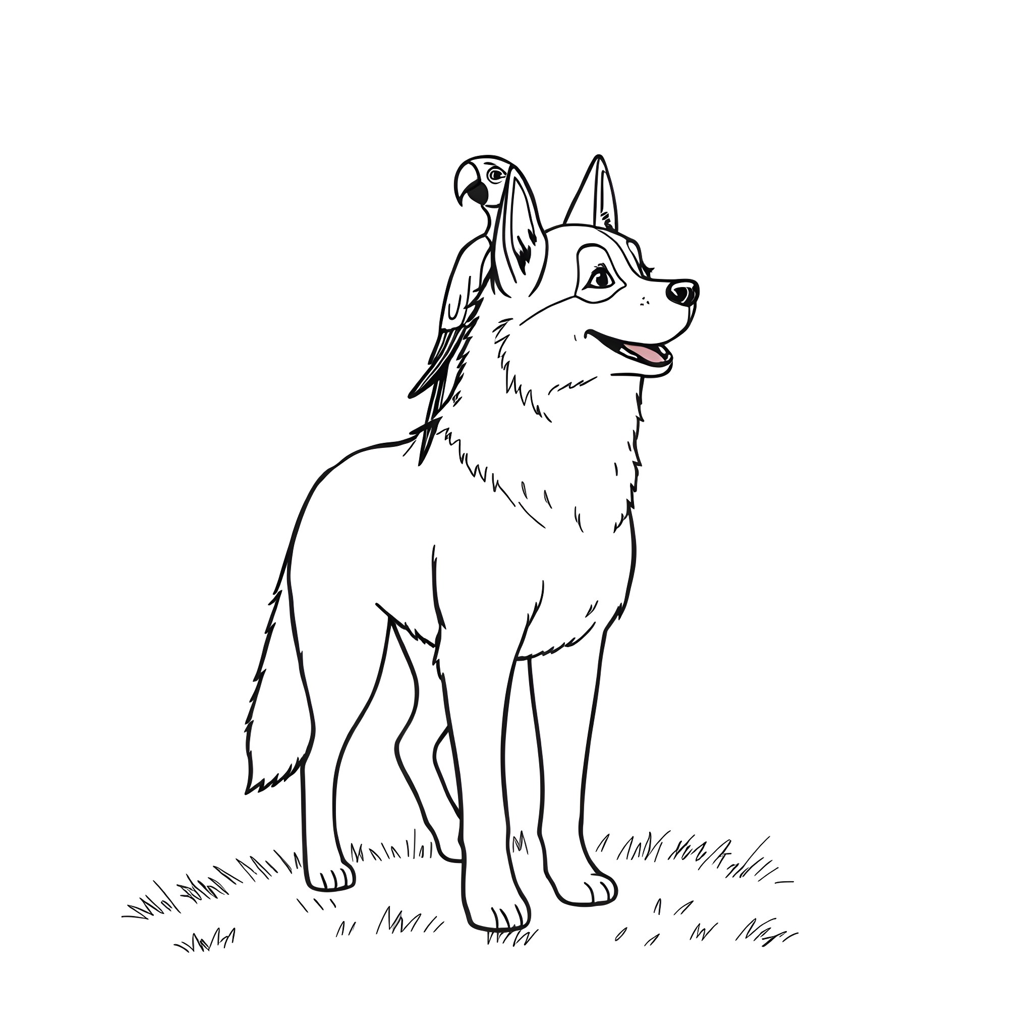 Husky dog standing in the grass Coloring Page (free black-and-white line drawing printable PDF for all, from beginners to advanced learners, including children, teens, adults, and seniors)