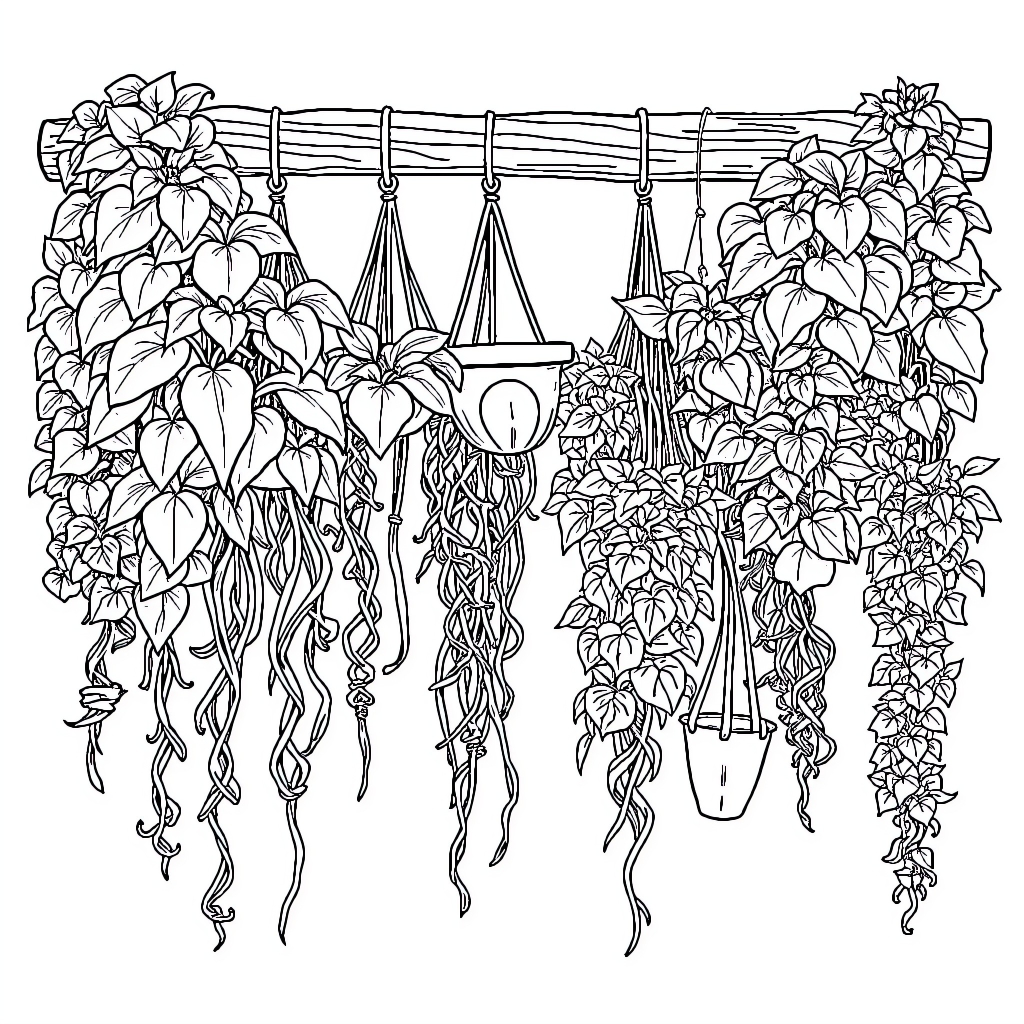 Hanging Plant Display with Decorative Accents Coloring Page (free black-and-white line drawing printable PDF for all, from beginners to advanced learners, including children, teens, adults, and seniors)