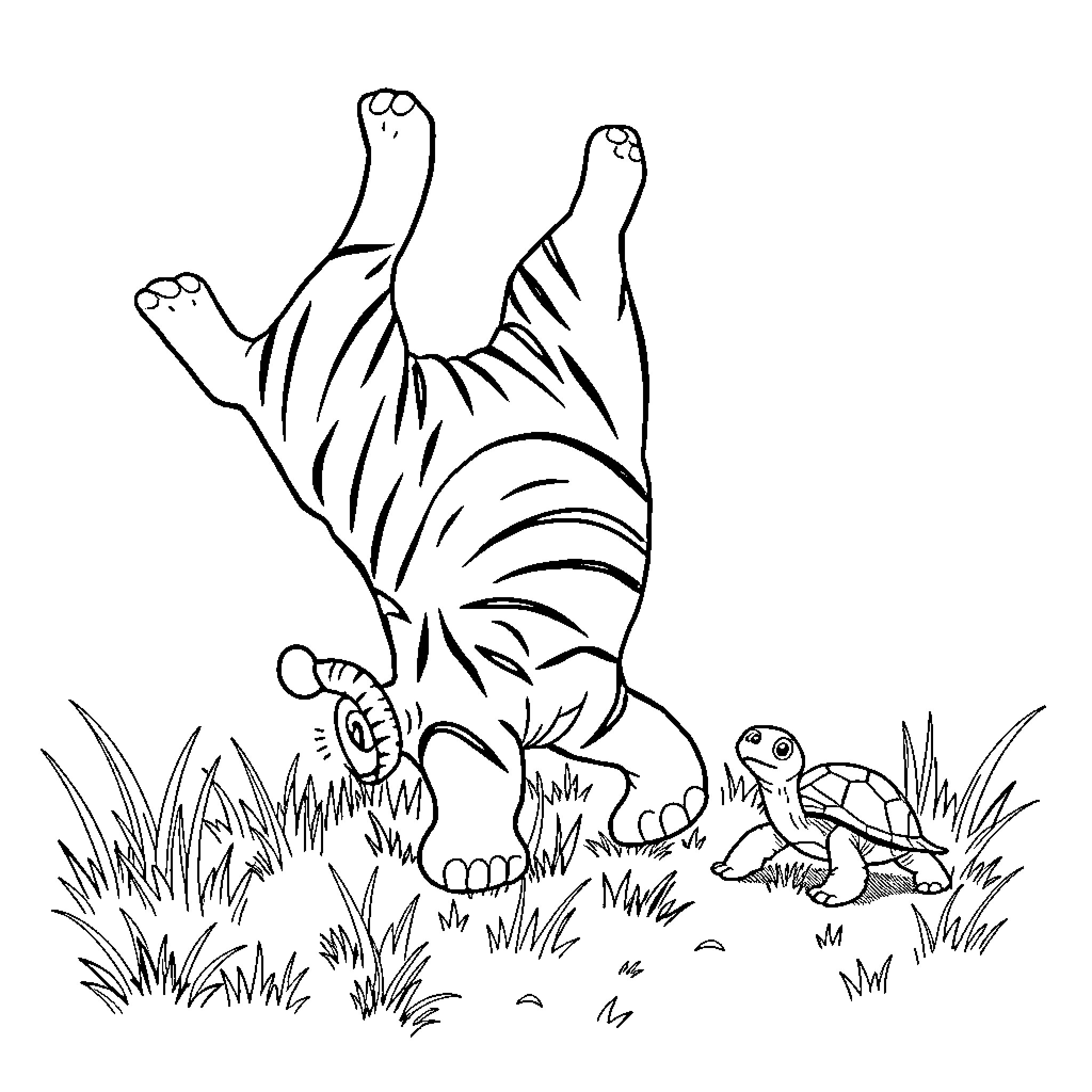 Tiger playing playfully with turtle in the grass Coloring Page (free black-and-white line drawing printable PDF for all, from beginners to advanced learners, including children, teens, adults, and seniors)