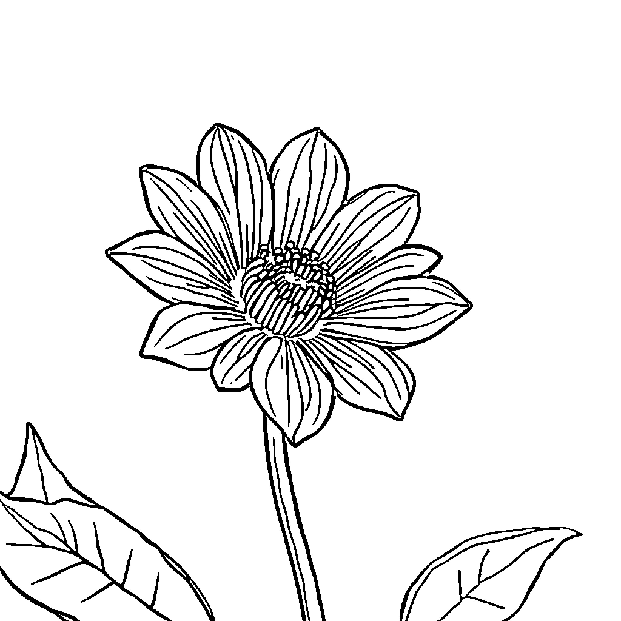 Flower blooming beautifully in nature Coloring Page (free black-and-white line drawing printable PDF for all, from beginners to advanced learners, including children, teens, adults, and seniors)