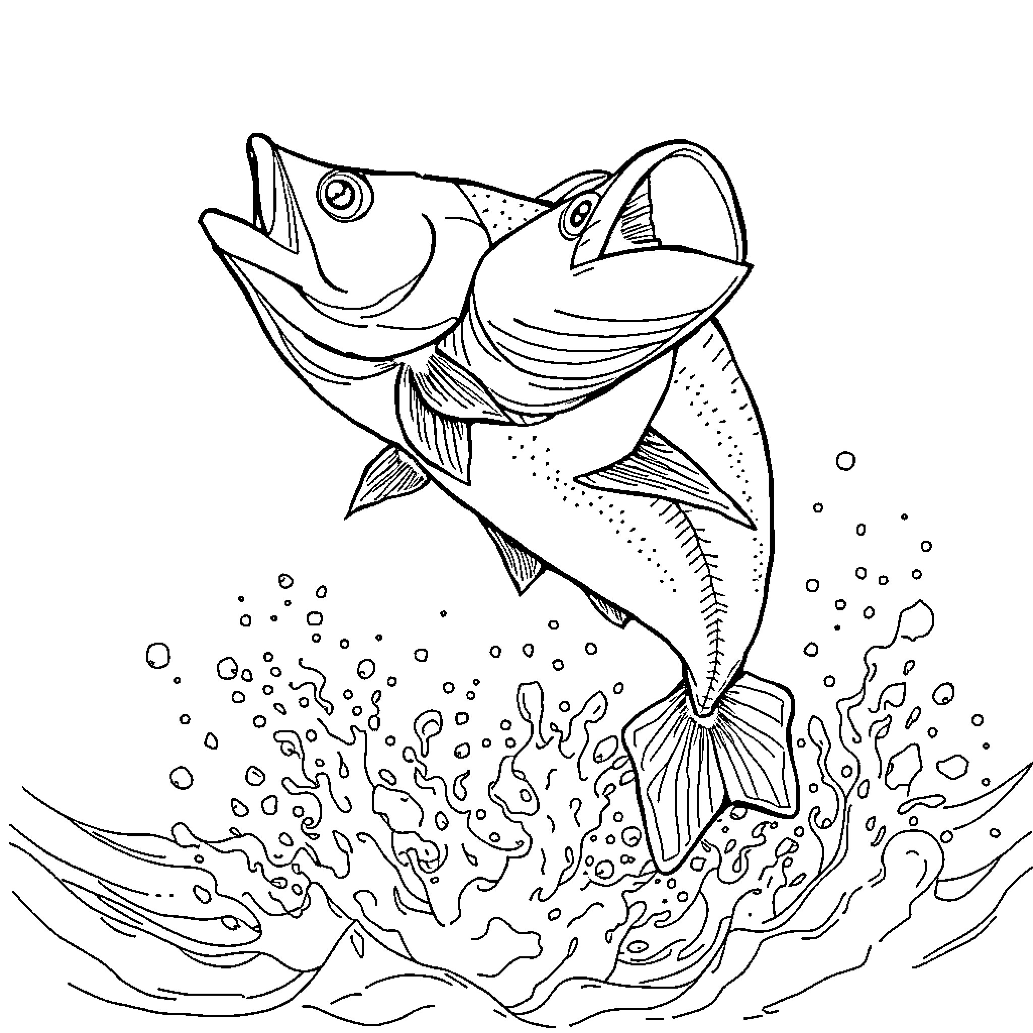 Fish leaping out of the water Coloring Page (free black-and-white line drawing printable PDF for all, from beginners to advanced learners, including children, teens, adults, and seniors)