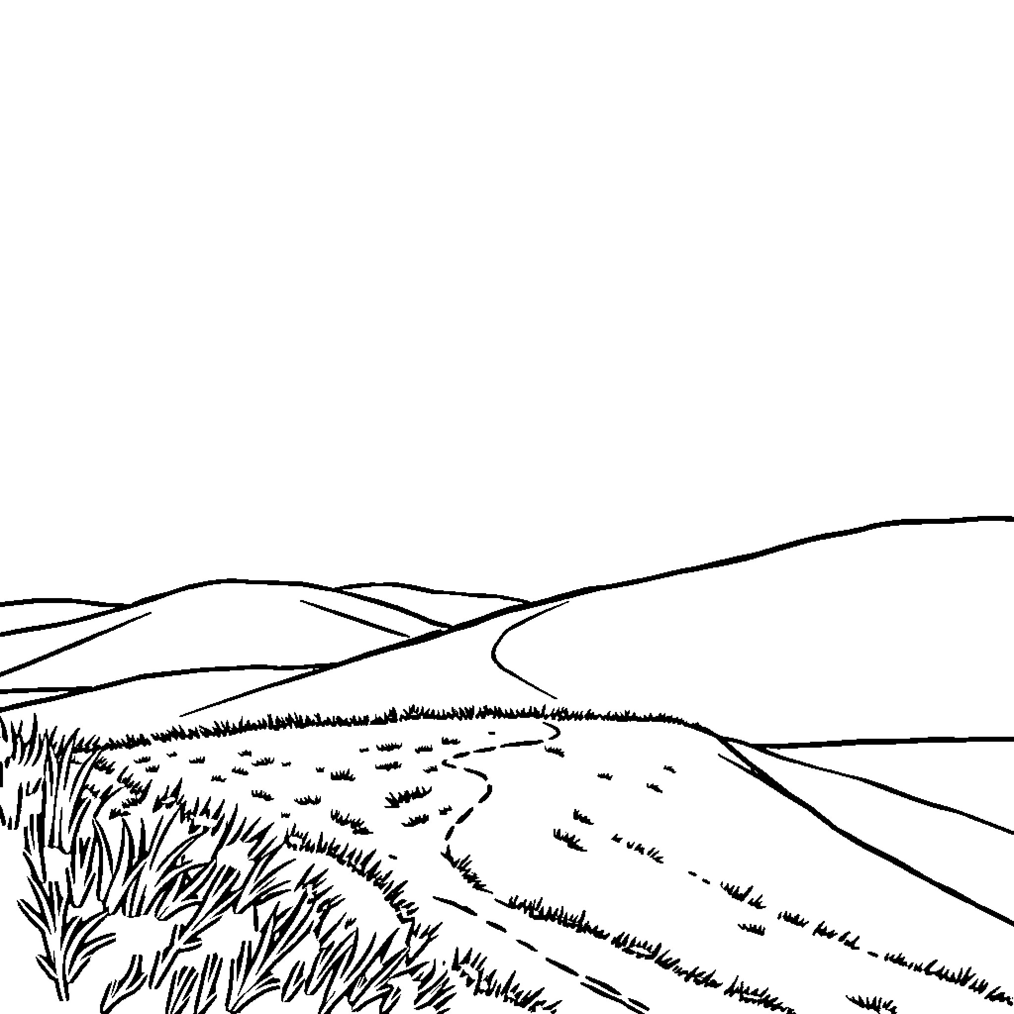 Landscape of rolling hills and winding path Coloring Page (free black-and-white line drawing printable PDF for all, from beginners to advanced learners, including children, teens, adults, and seniors)
