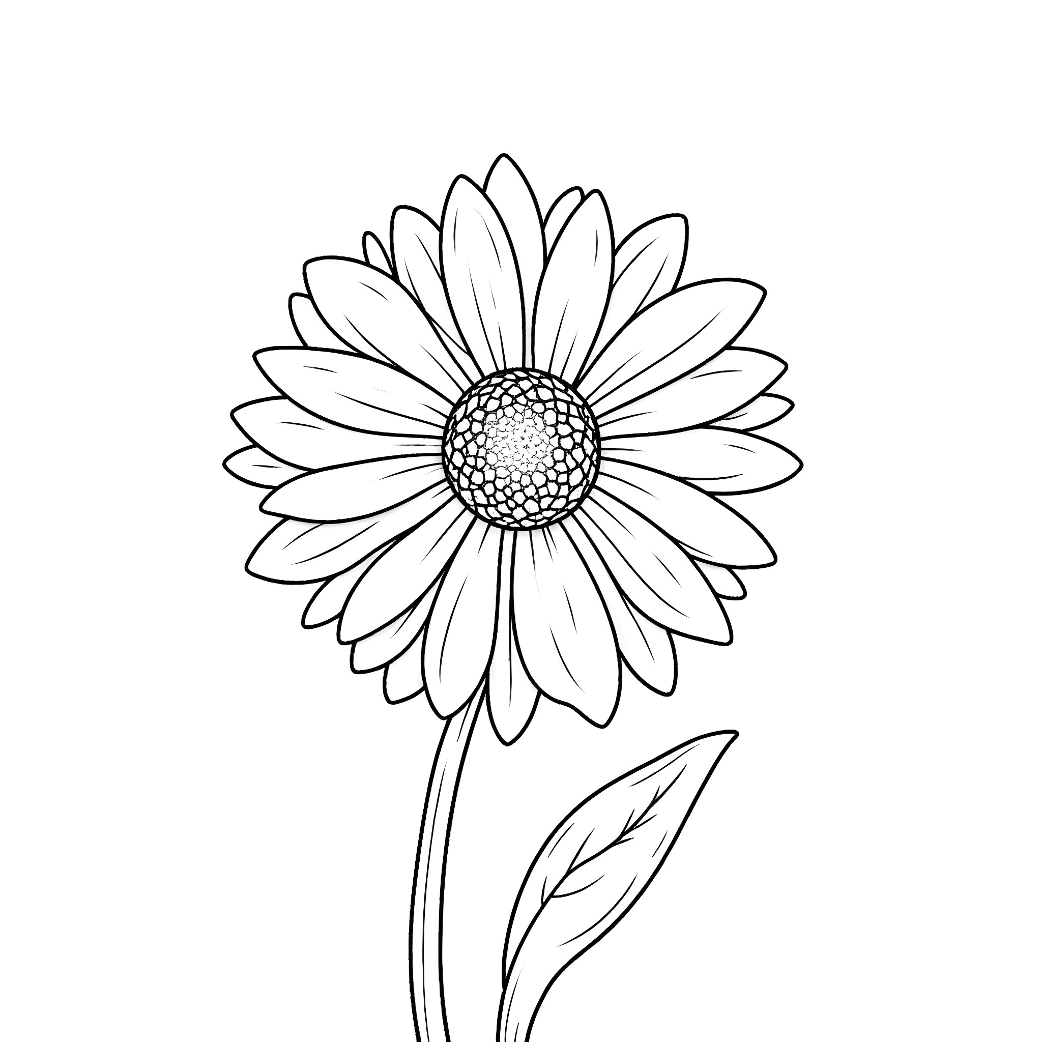 Daisy Flower in Graceful Bloom Coloring Page (free black-and-white line drawing printable PDF for all, from beginners to advanced learners, including children, teens, adults, and seniors)