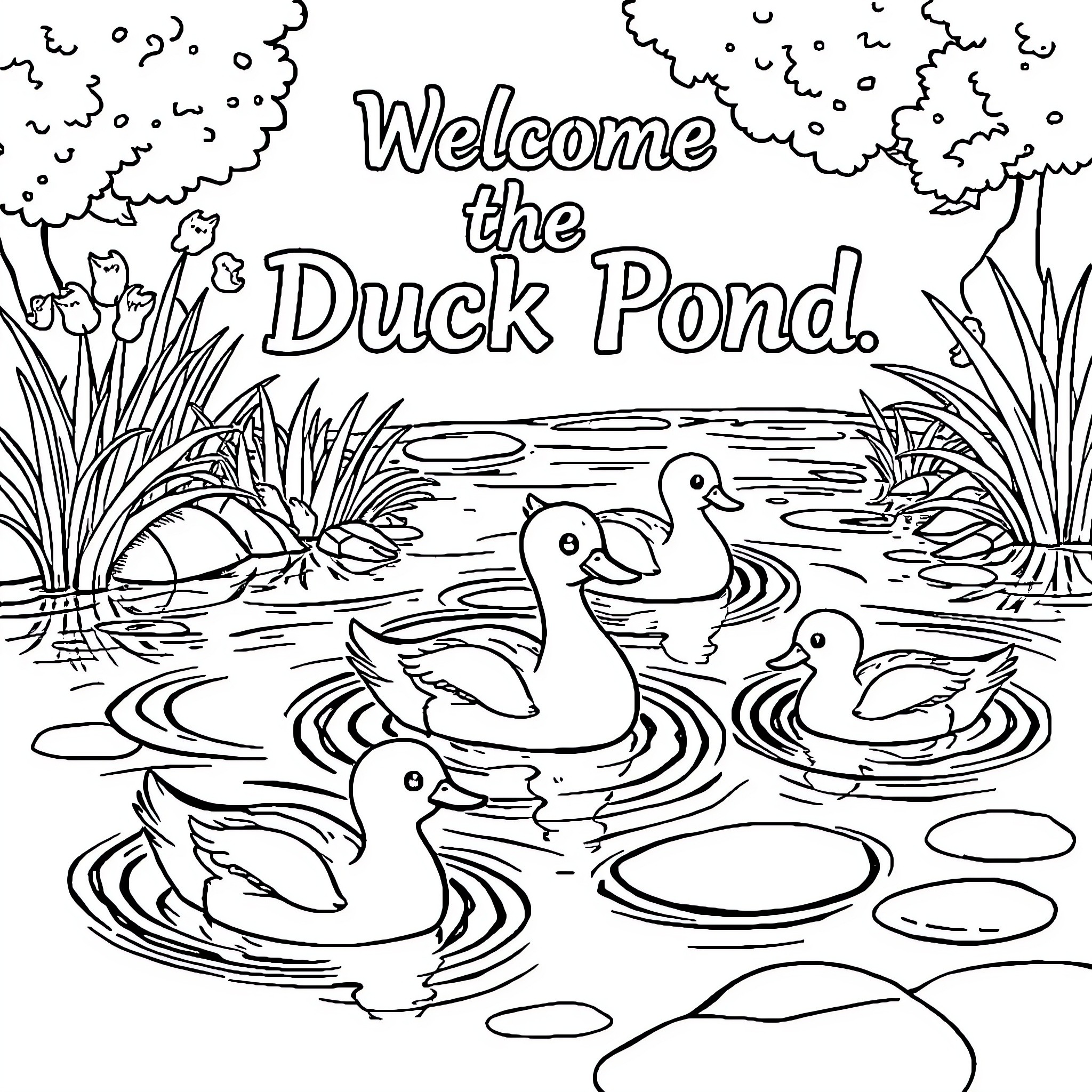 Ducks playing in the duck pond Coloring Page (free black-and-white line drawing printable PDF for all, from beginners to advanced learners, including children, teens, adults, and seniors)