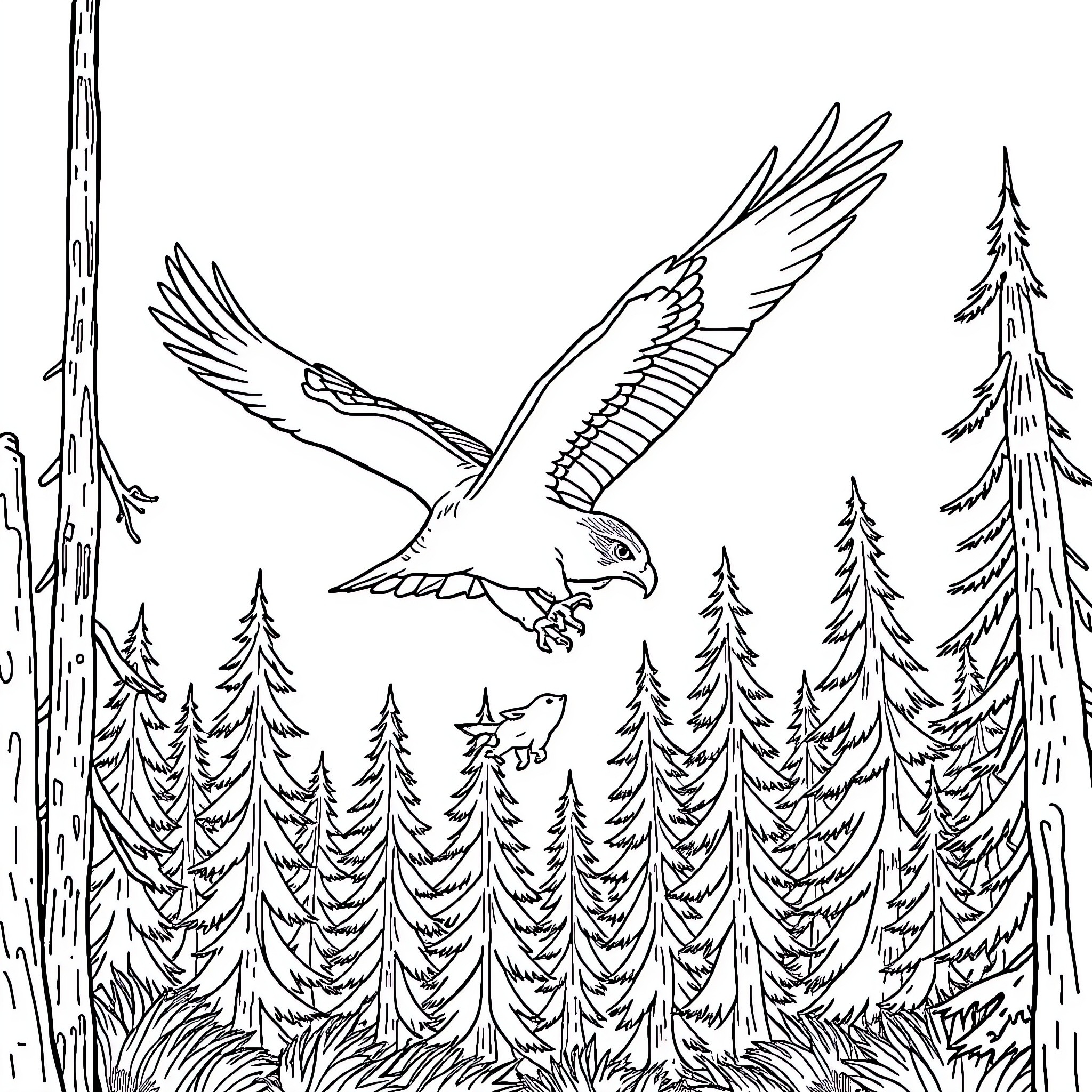 Hawk soaring above the forest Coloring Page (free black-and-white line drawing printable PDF for all, from beginners to advanced learners, including children, teens, adults, and seniors)