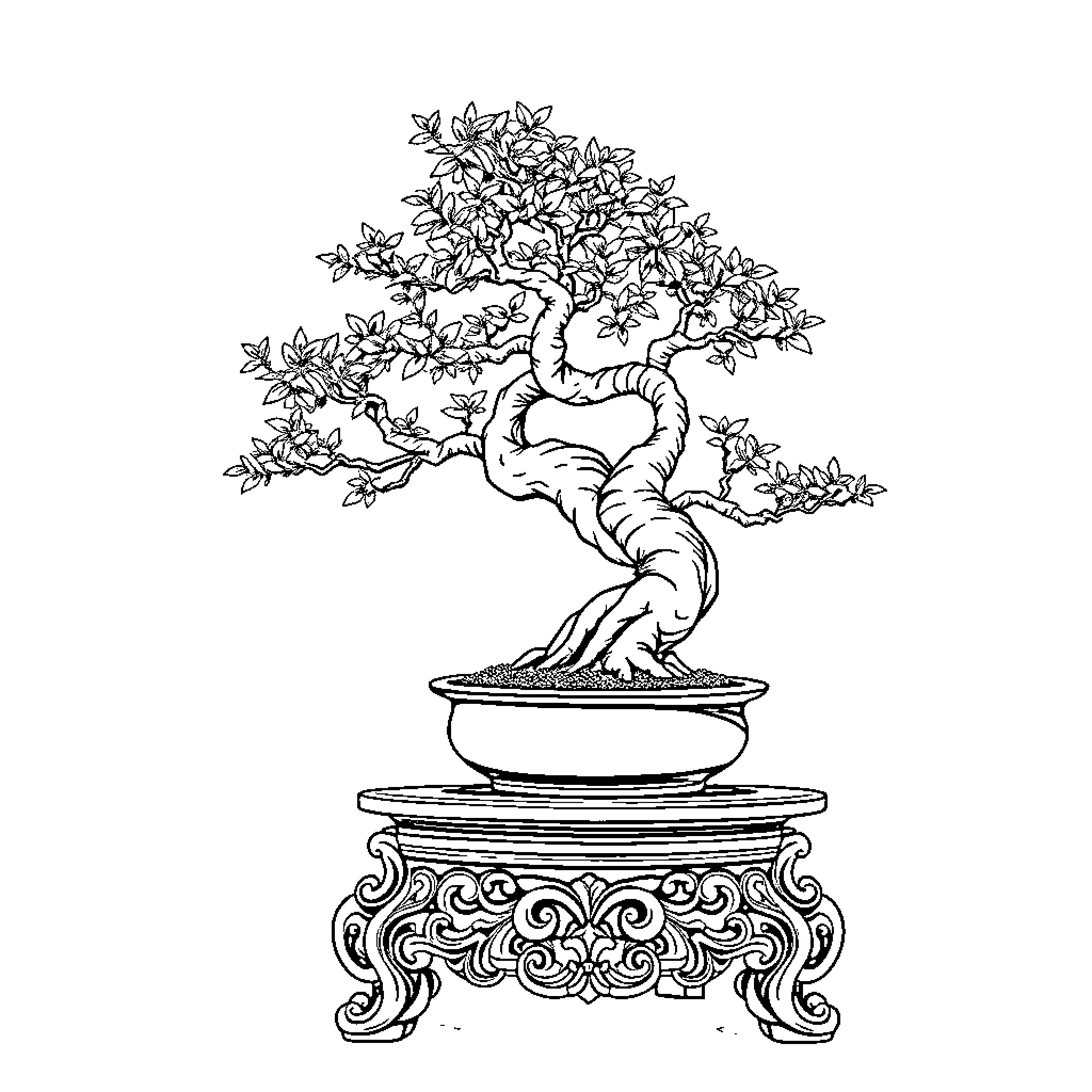 Bonsai Tree Flourishing in Ornate Planter Coloring Page (free black-and-white line drawing printable PDF for all, from beginners to advanced learners, including children, teens, adults, and seniors)