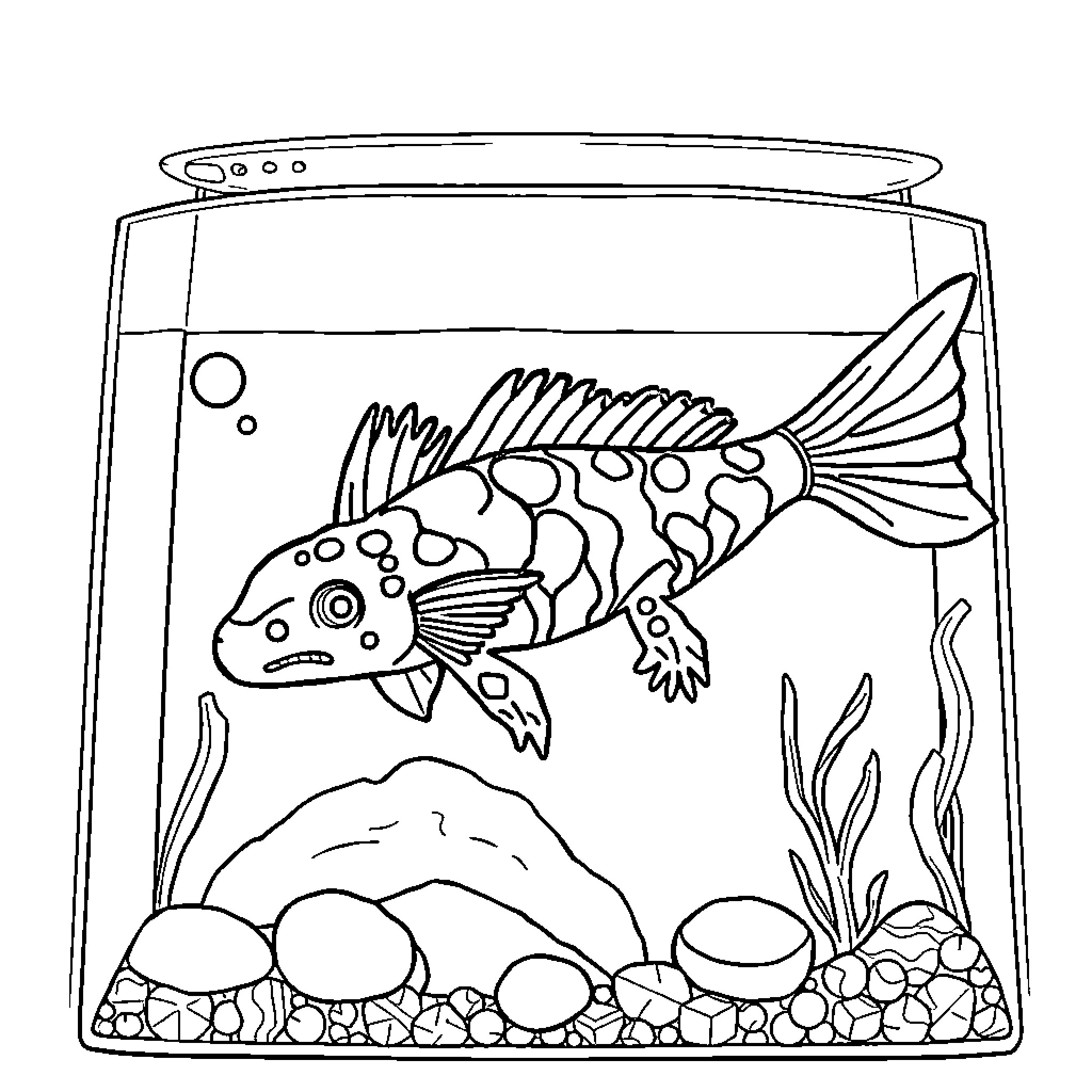 Axolotl swimming in aquarium Coloring Page (free black-and-white line drawing printable PDF for all, from beginners to advanced learners, including children, teens, adults, and seniors)