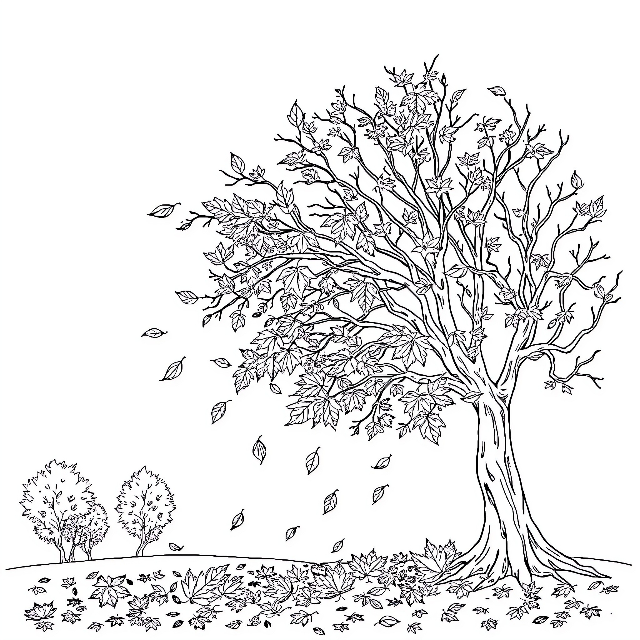 Autumn Tree Shedding Leaves in the Breeze Coloring Page (free black-and-white line drawing printable PDF for all, from beginners to advanced learners, including children, teens, adults, and seniors)