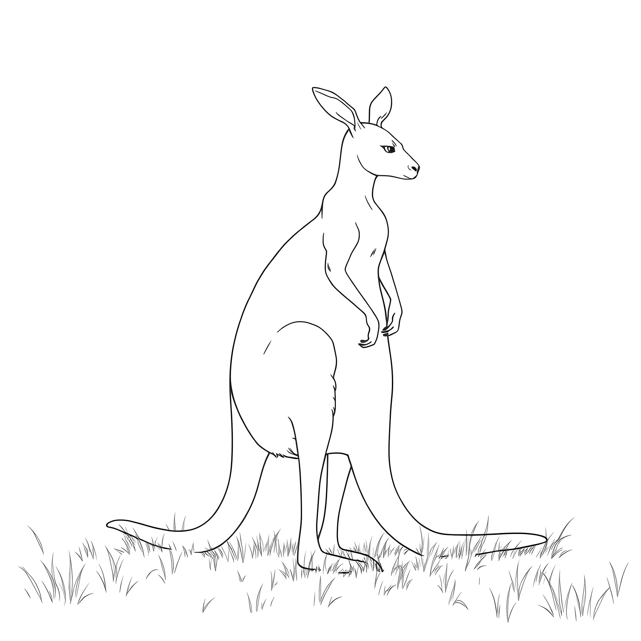 Kangaroo standing on grassy field Coloring Page (free black-and-white line drawing printable PDF for all, from beginners to advanced learners, including children, teens, adults, and seniors)
