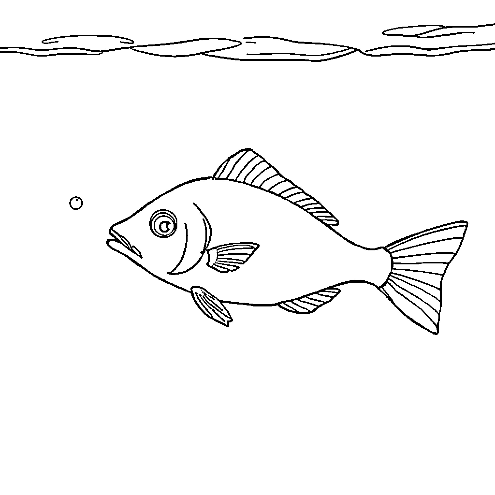 Fish swimming in the sea Coloring Page (free black-and-white line drawing printable PDF for all, from beginners to advanced learners, including children, teens, adults, and seniors)