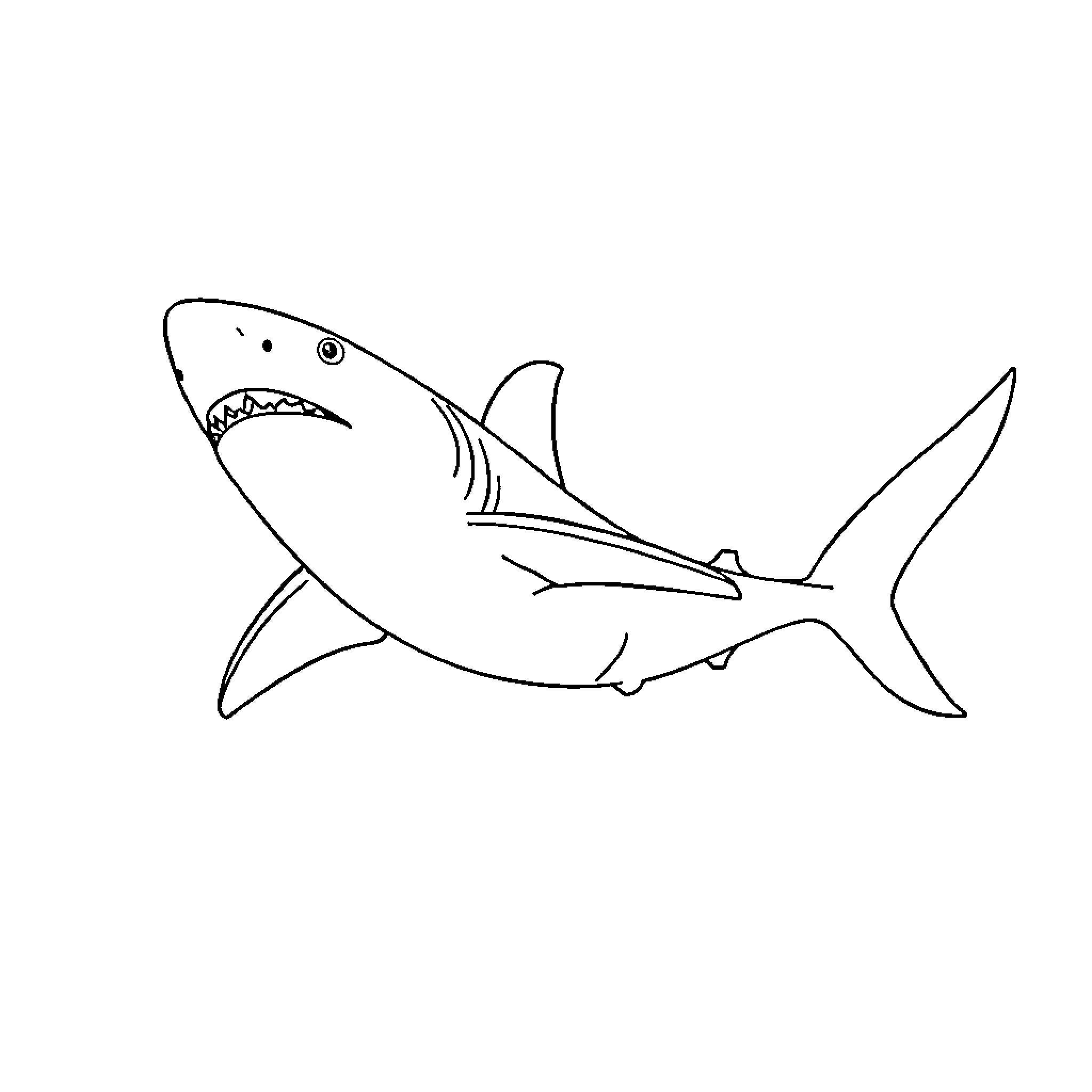 Shark swimming with open mouth Coloring Page (free black-and-white line drawing printable PDF for all, from beginners to advanced learners, including children, teens, adults, and seniors)
