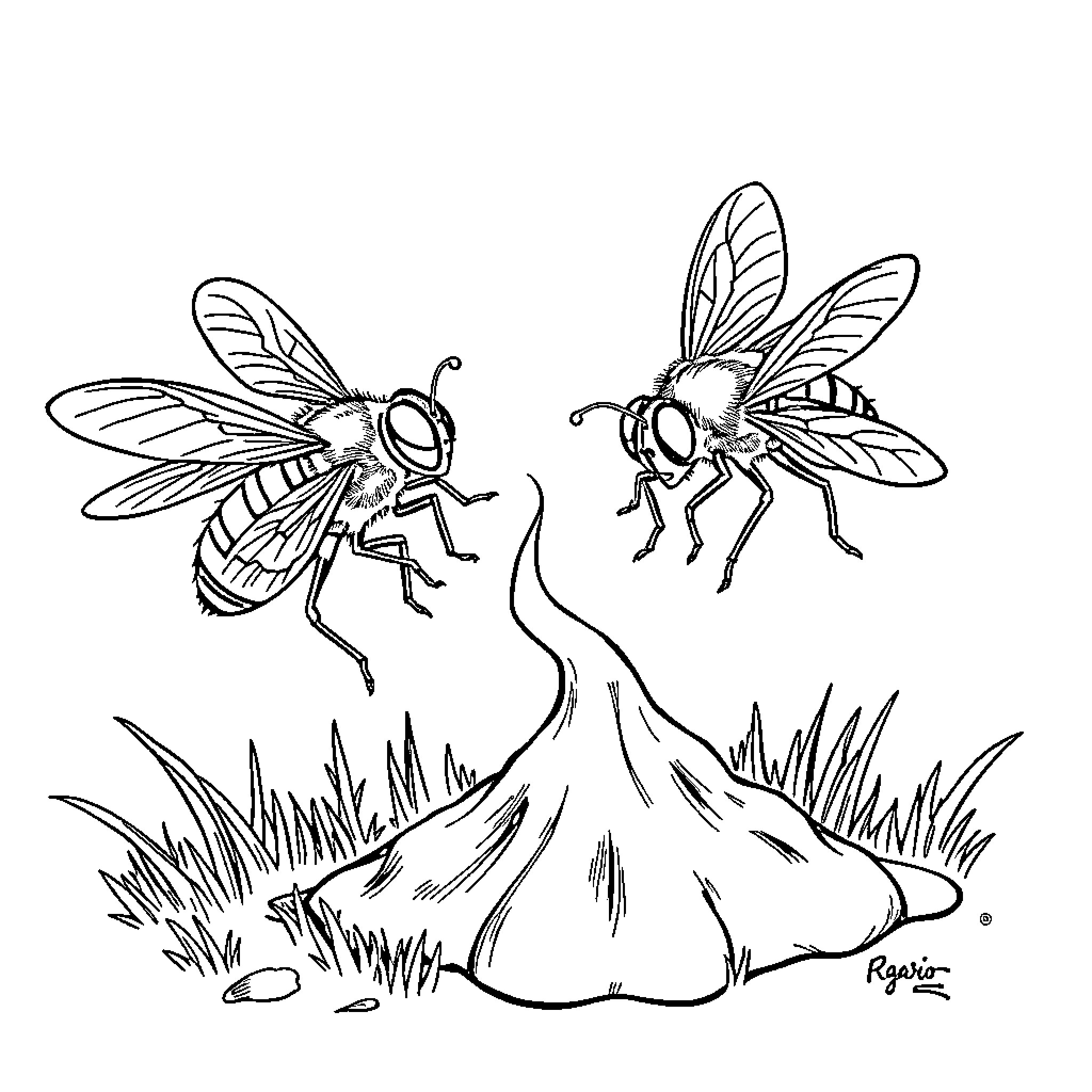 Fly amidst nature's wonders Coloring Page (free black-and-white line drawing printable PDF for all, from beginners to advanced learners, including children, teens, adults, and seniors)