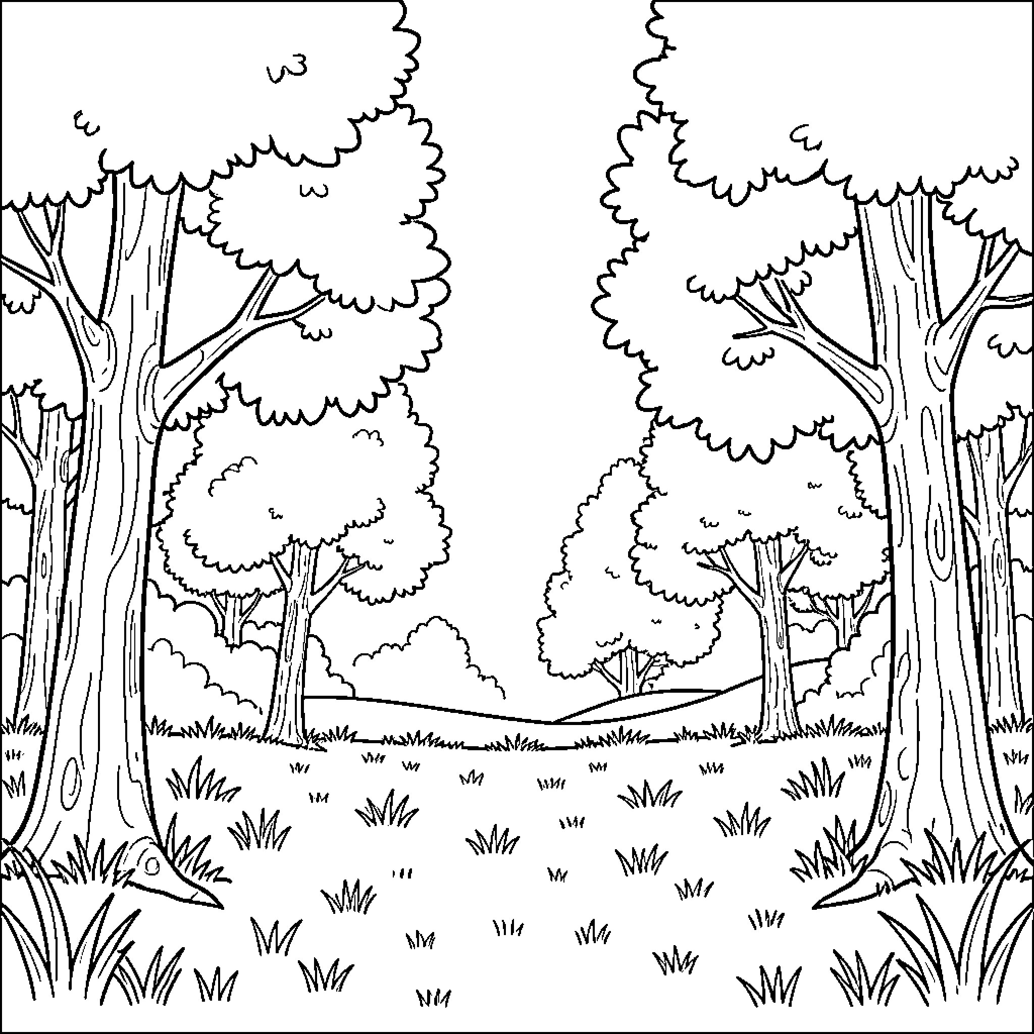 Nature scene with tall trees and grassy ground Coloring Page (free black-and-white line drawing printable PDF for all, from beginners to advanced learners, including children, teens, adults, and seniors)