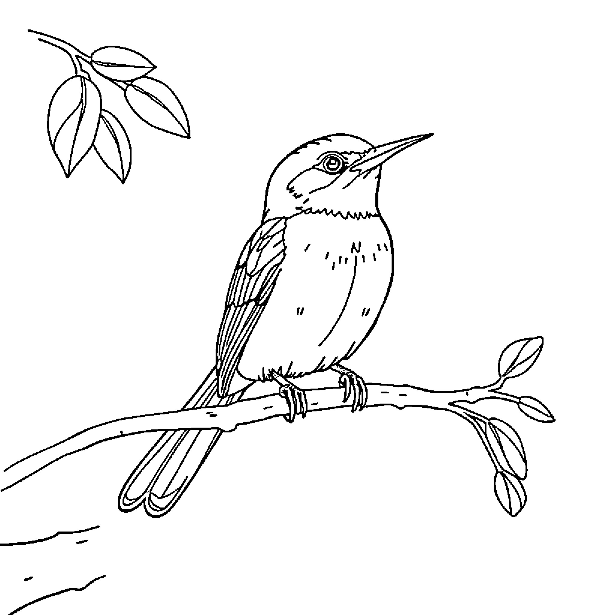 Robin perched on branch with leaves Coloring Page (free black-and-white line drawing printable PDF for all, from beginners to advanced learners, including children, teens, adults, and seniors)