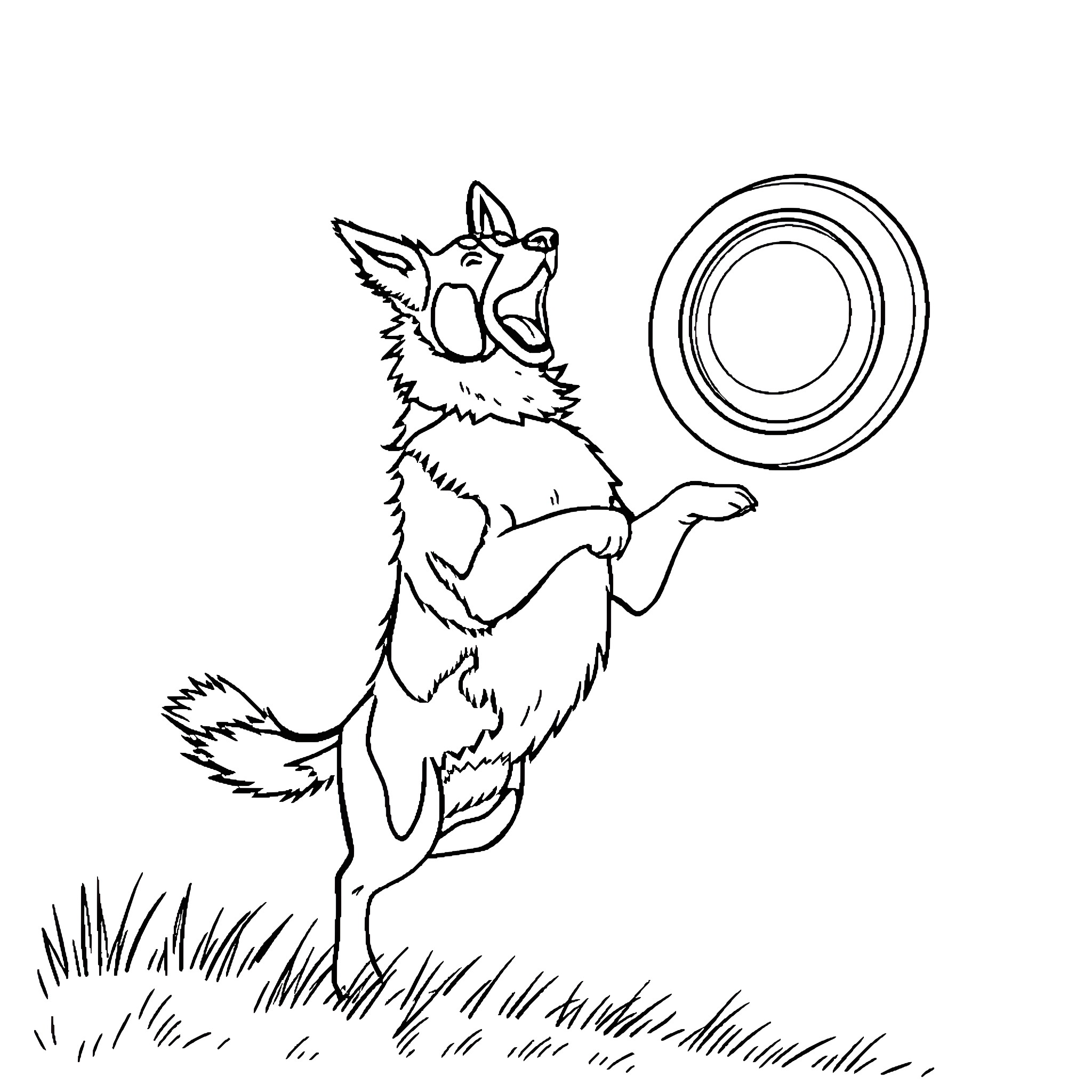 Border Collie chasing after a toy ring Coloring Page (free black-and-white line drawing printable PDF for all, from beginners to advanced learners, including children, teens, adults, and seniors)