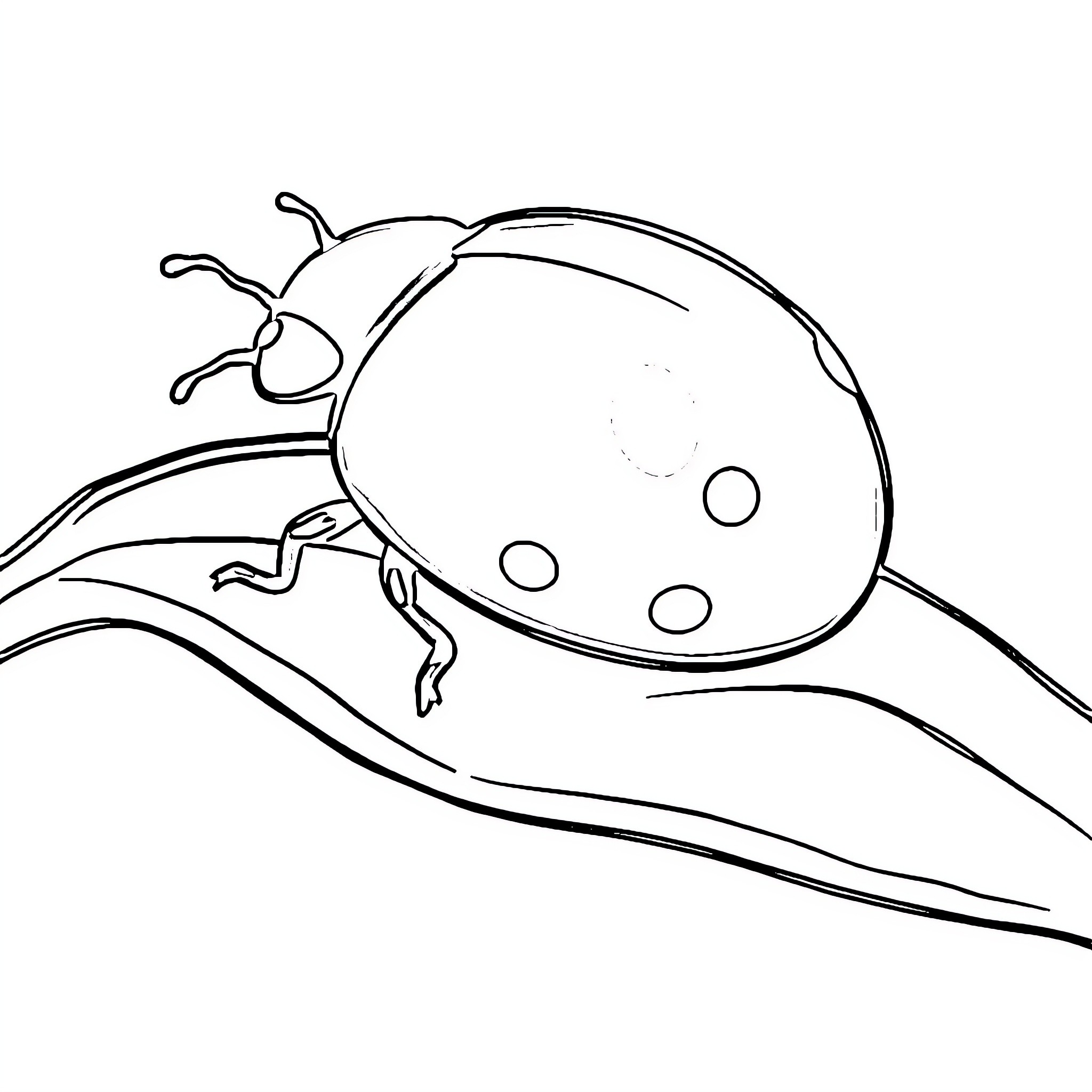 Ladybug resting on a leaf Coloring Page (free black-and-white line drawing printable PDF for all, from beginners to advanced learners, including children, teens, adults, and seniors)