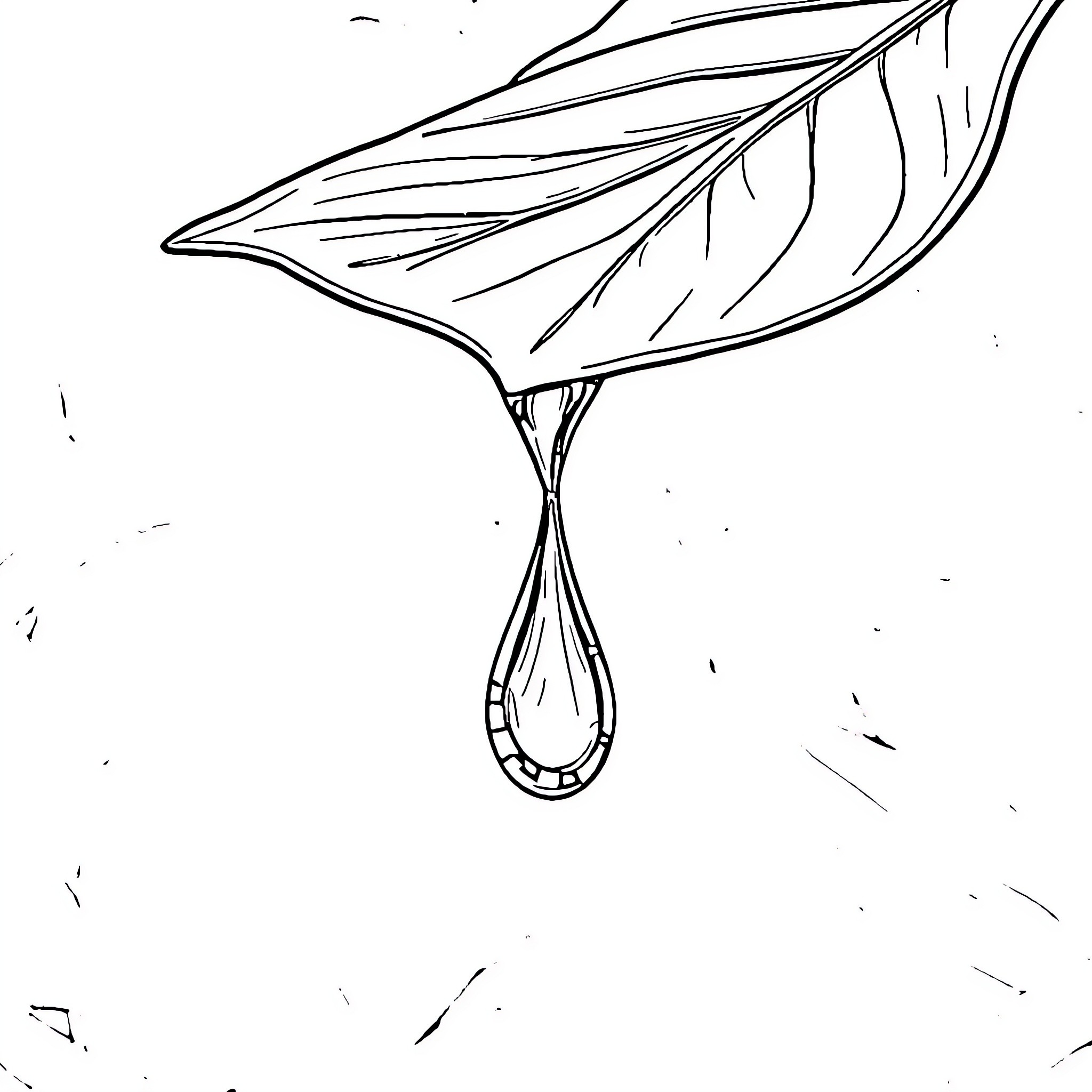 Water droplet falling from leaf Coloring Page (free black-and-white line drawing printable PDF for all, from beginners to advanced learners, including children, teens, adults, and seniors)