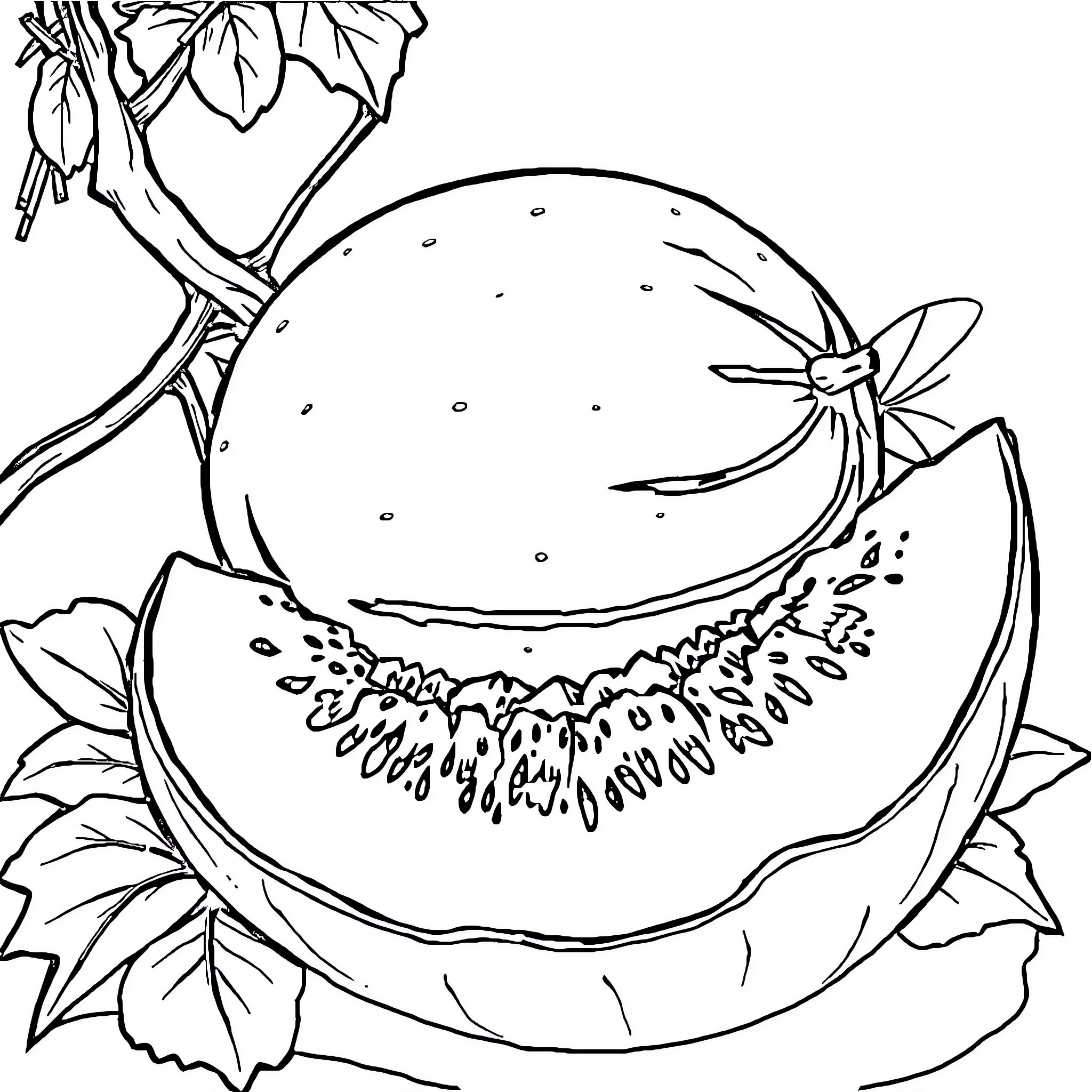 Fruit with artistic leaf designs Coloring Page (free black-and-white line drawing printable PDF for all, from beginners to advanced learners, including children, teens, adults, and seniors)