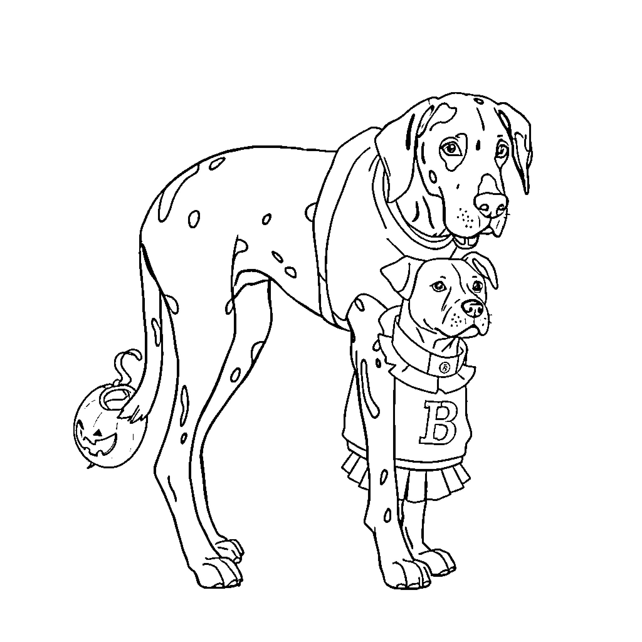 Dog in costume with pumpkin Coloring Page (free black-and-white line drawing printable PDF for all, from beginners to advanced learners, including children, teens, adults, and seniors)