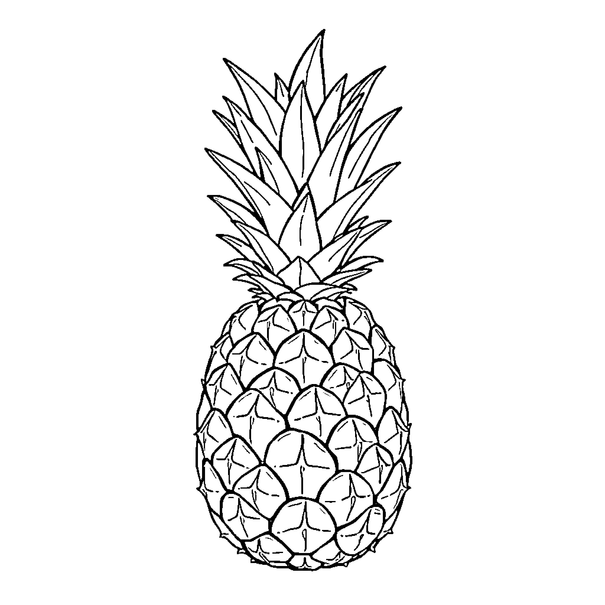 Pineapple outlined in black lines Coloring Page (free black-and-white line drawing printable PDF for all, from beginners to advanced learners, including children, teens, adults, and seniors)