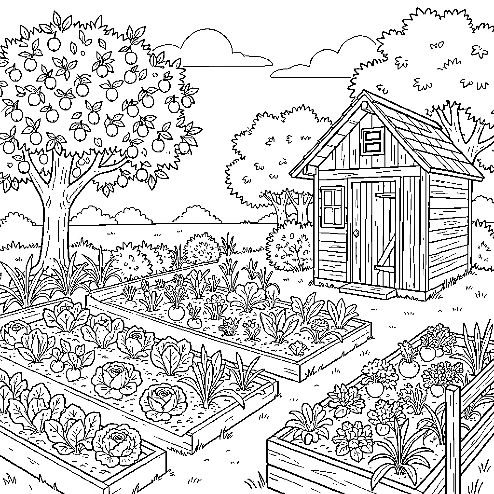 Garden with vegetable patches and a small shed Coloring Page (free black-and-white line drawing printable PDF for all, from beginners to advanced learners, including children, teens, adults, and seniors)