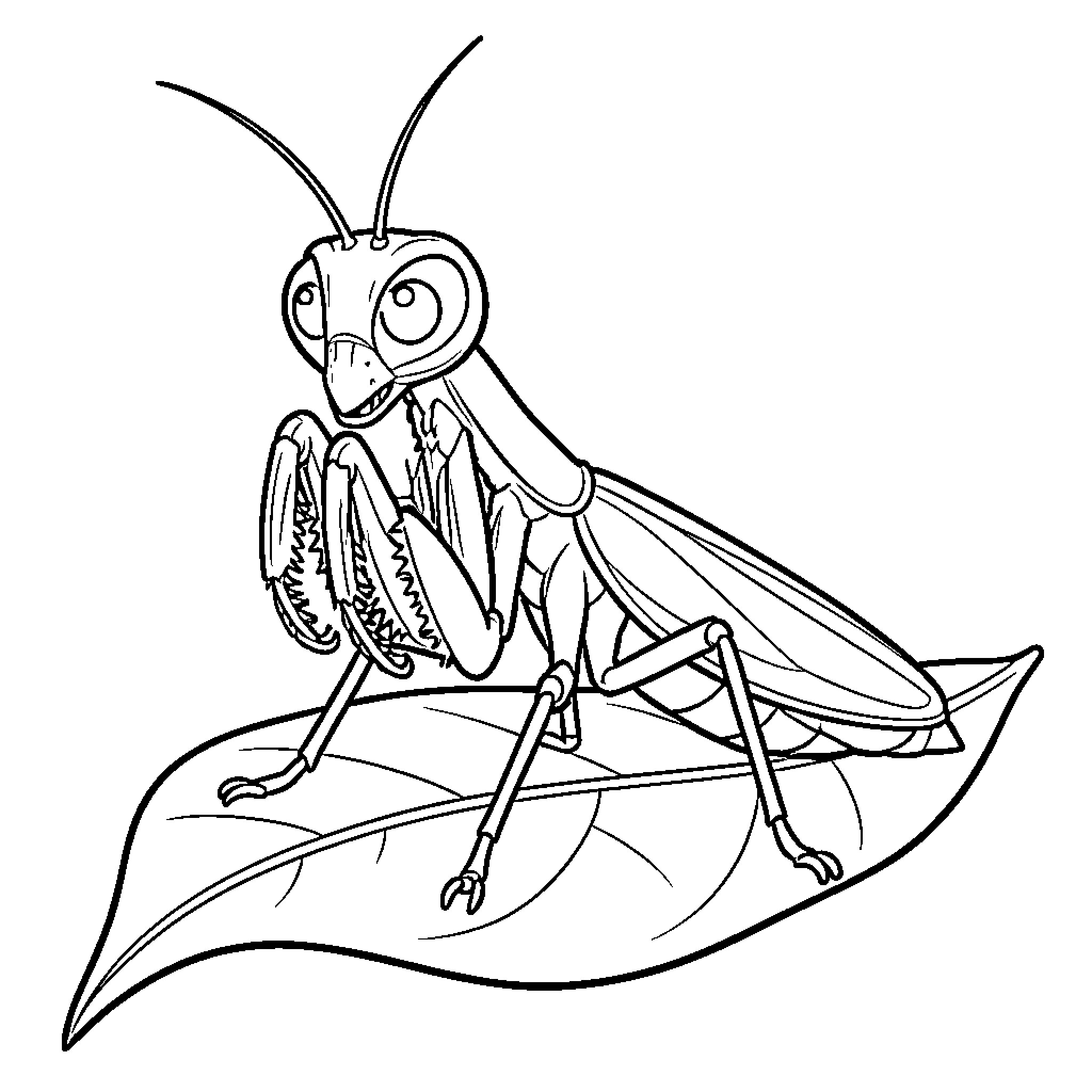 Mantis with exaggerated features on leaf Coloring Page (free black-and-white line drawing printable PDF for all, from beginners to advanced learners, including children, teens, adults, and seniors)