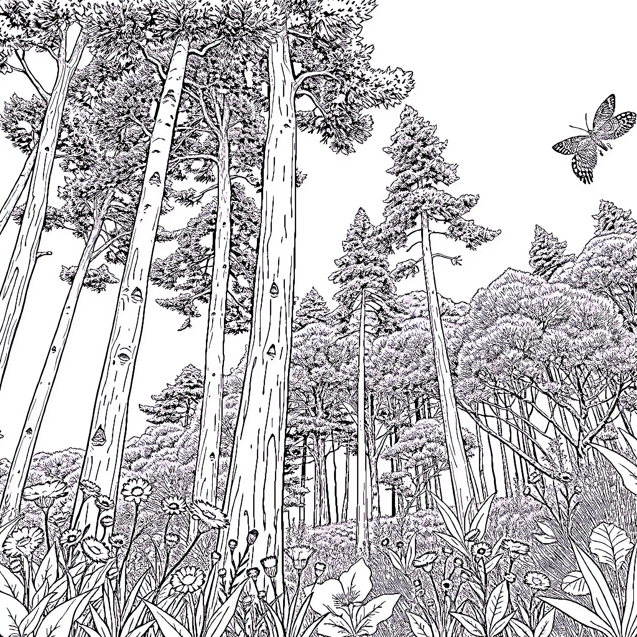 Nature's Enchanted Forest Landscape Coloring Page (free black-and-white line drawing printable PDF for all, from beginners to advanced learners, including children, teens, adults, and seniors)