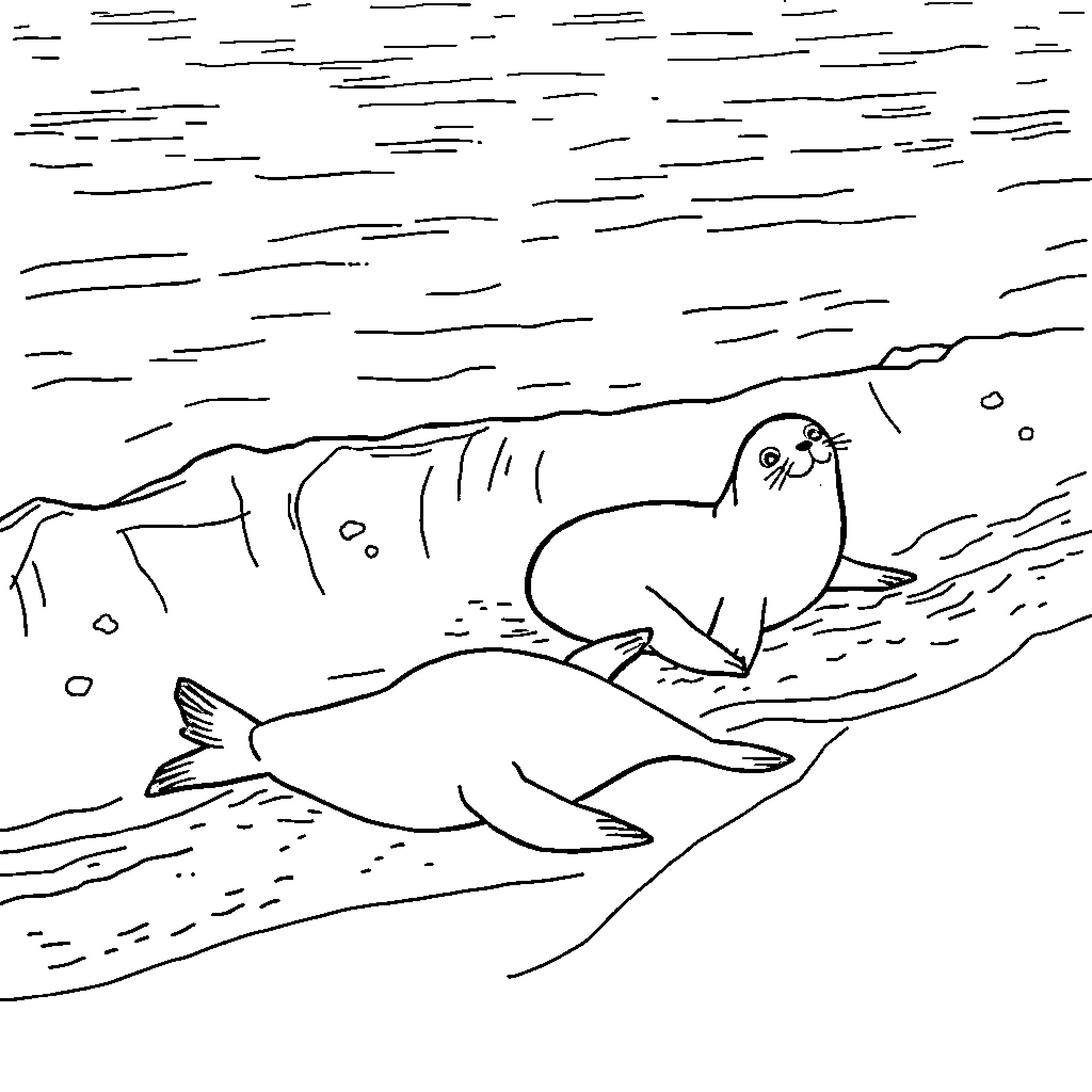 Seal resting on the shore Coloring Page (free black-and-white line drawing printable PDF for all, from beginners to advanced learners, including children, teens, adults, and seniors)