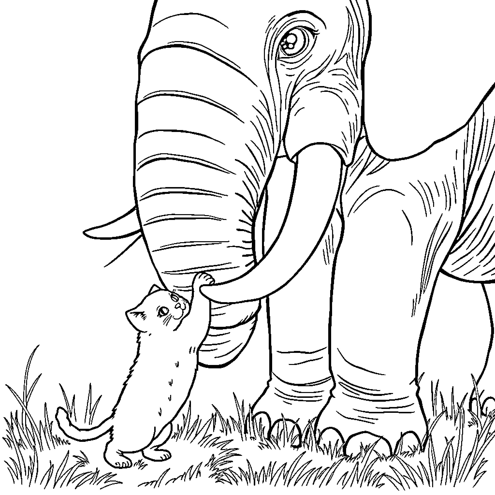 Cat inspecting curious elephant in nature Coloring Page (free black-and-white line drawing printable PDF for all, from beginners to advanced learners, including children, teens, adults, and seniors)