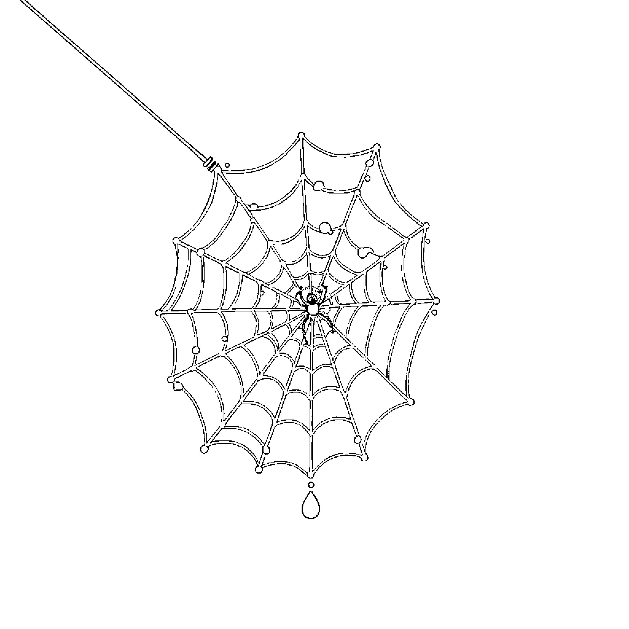 Spider web with intricate design Coloring Page (free black-and-white line drawing printable PDF for all, from beginners to advanced learners, including children, teens, adults, and seniors)