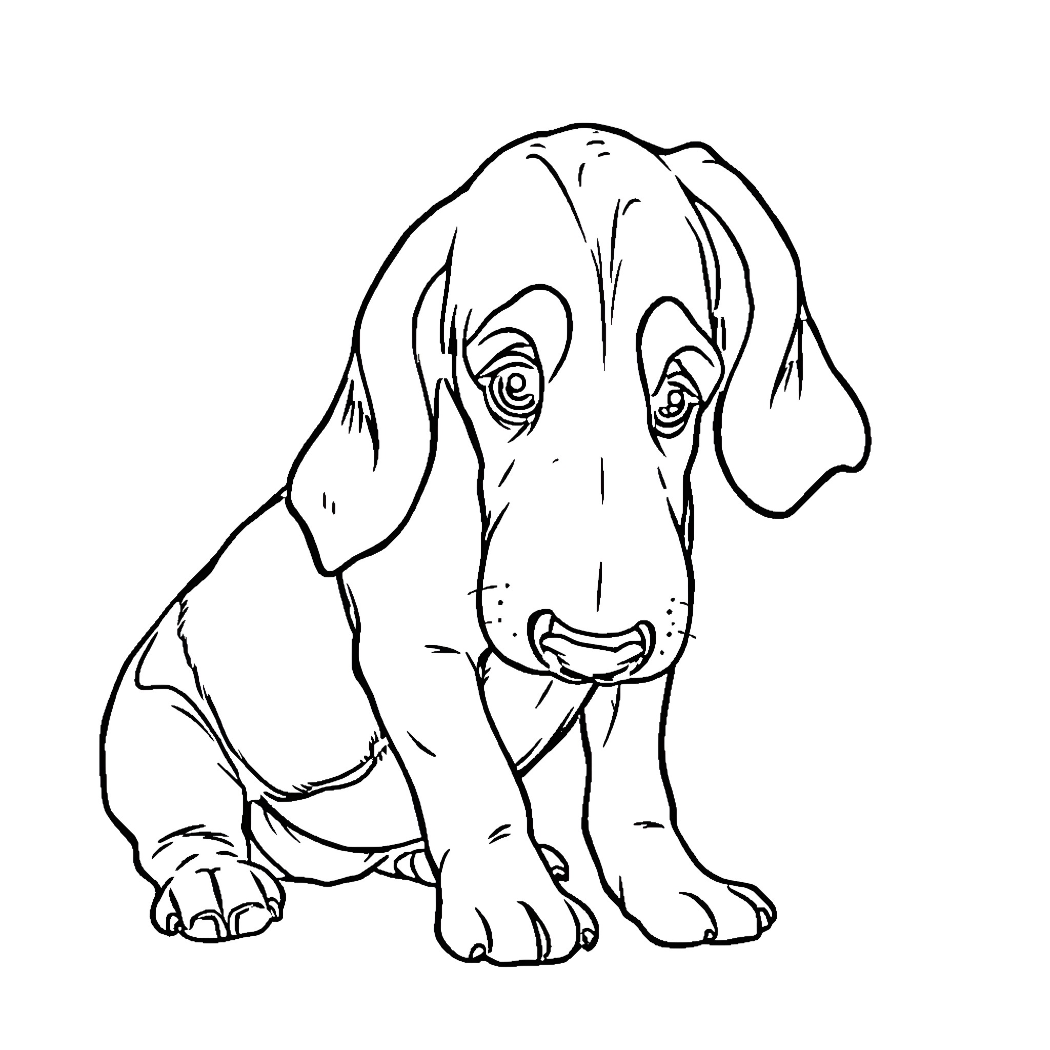 Basset Hound sitting and looking curious Coloring Page (free black-and-white line drawing printable PDF for all, from beginners to advanced learners, including children, teens, adults, and seniors)