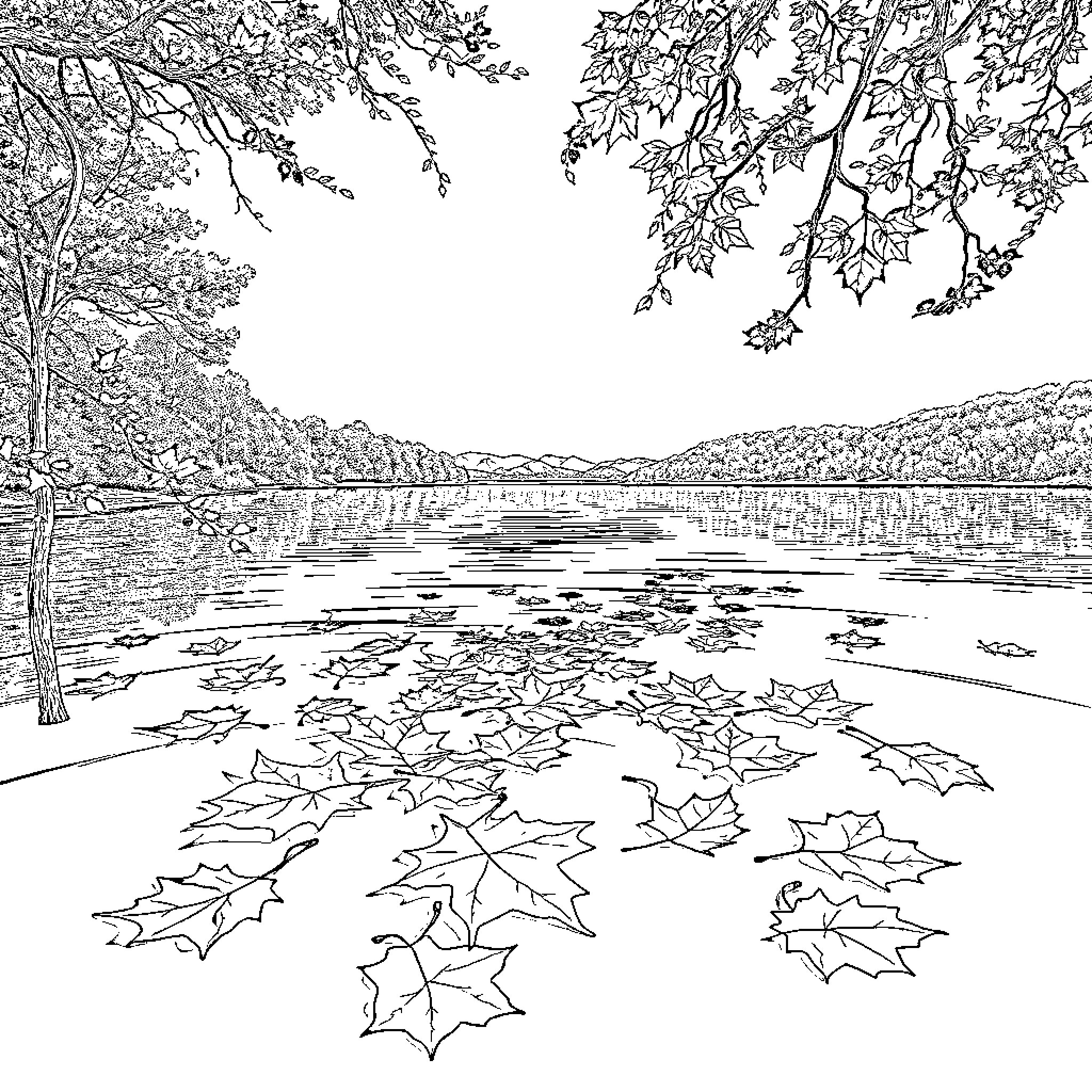 Lake with fallen autumn leaves on the water Coloring Page (free black-and-white line drawing printable PDF for all, from beginners to advanced learners, including children, teens, adults, and seniors)