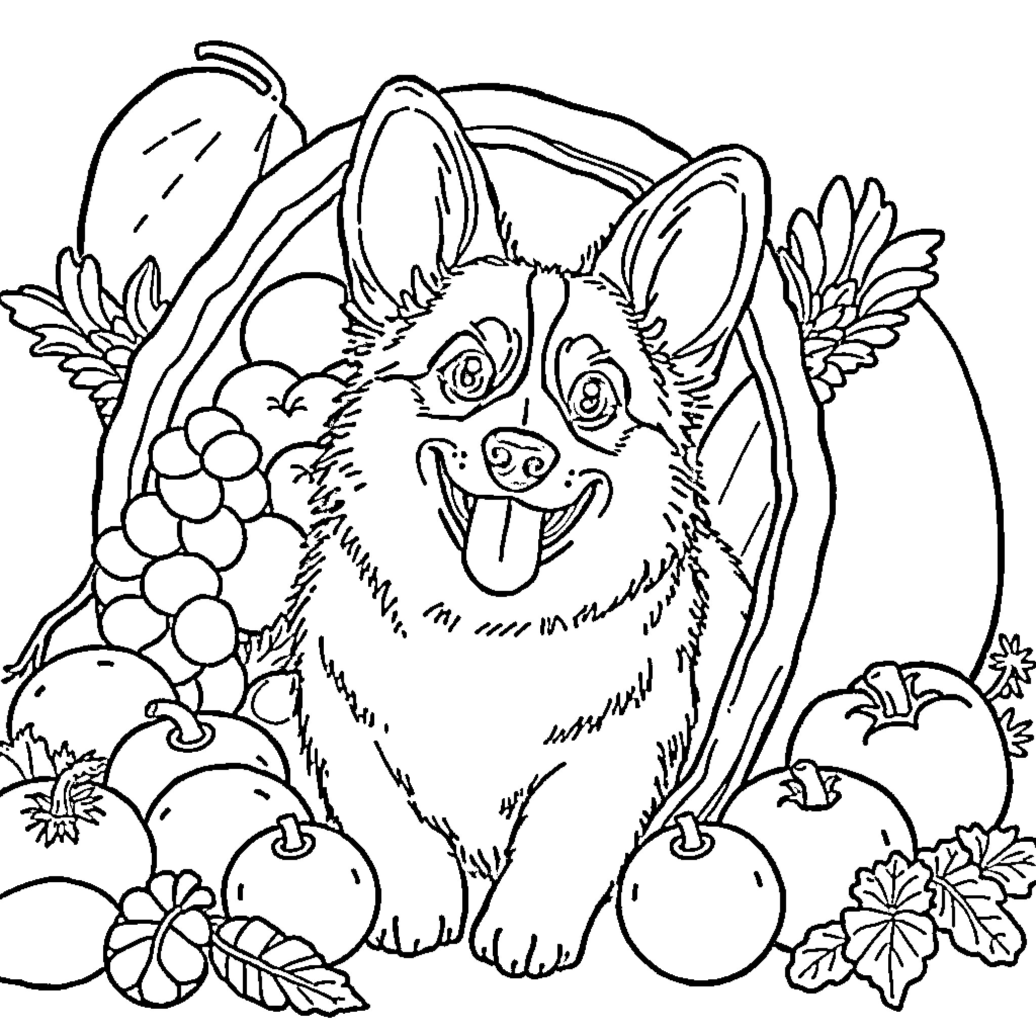 Corgi surrounded by fruits and flowers Coloring Page (free black-and-white line drawing printable PDF for all, from beginners to advanced learners, including children, teens, adults, and seniors)