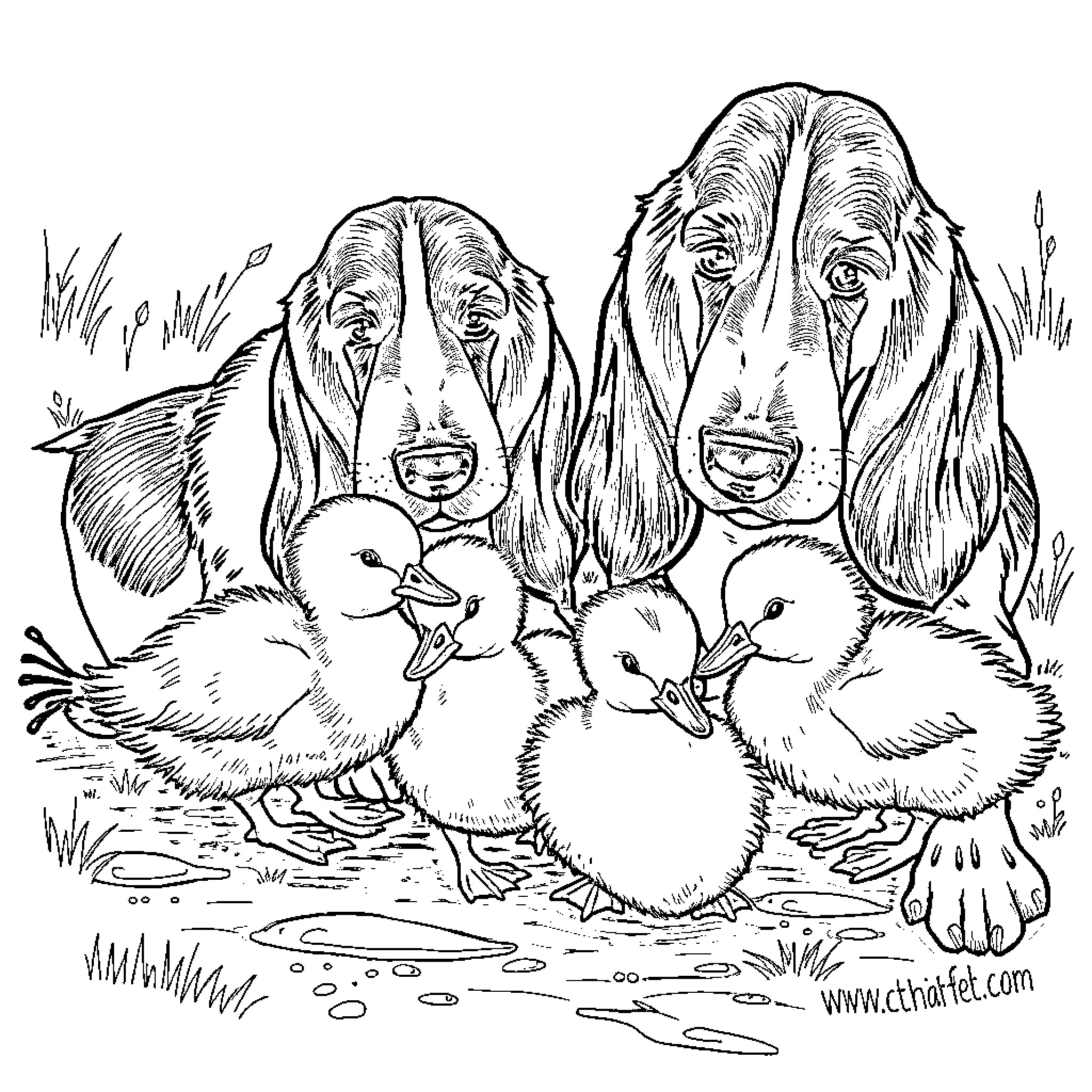 Basset Hound guardians protecting ducklings in nature Coloring Page (free black-and-white line drawing printable PDF for all, from beginners to advanced learners, including children, teens, adults, and seniors)