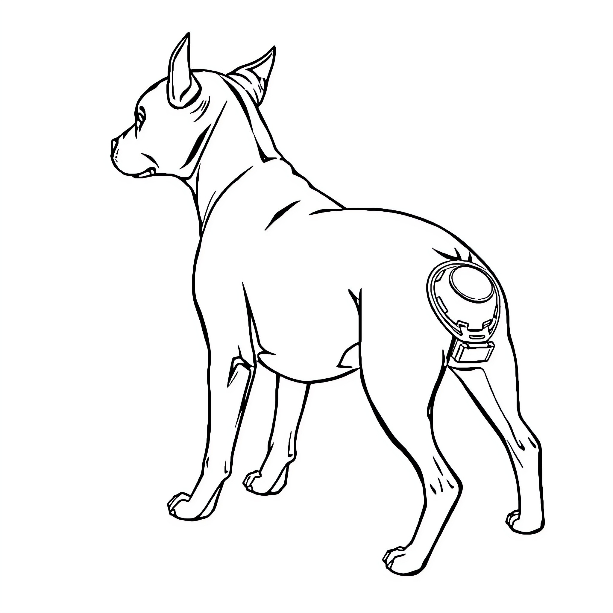 Staffy dog with medical equipment Coloring Page (free black-and-white line drawing printable PDF for all, from beginners to advanced learners, including children, teens, adults, and seniors)