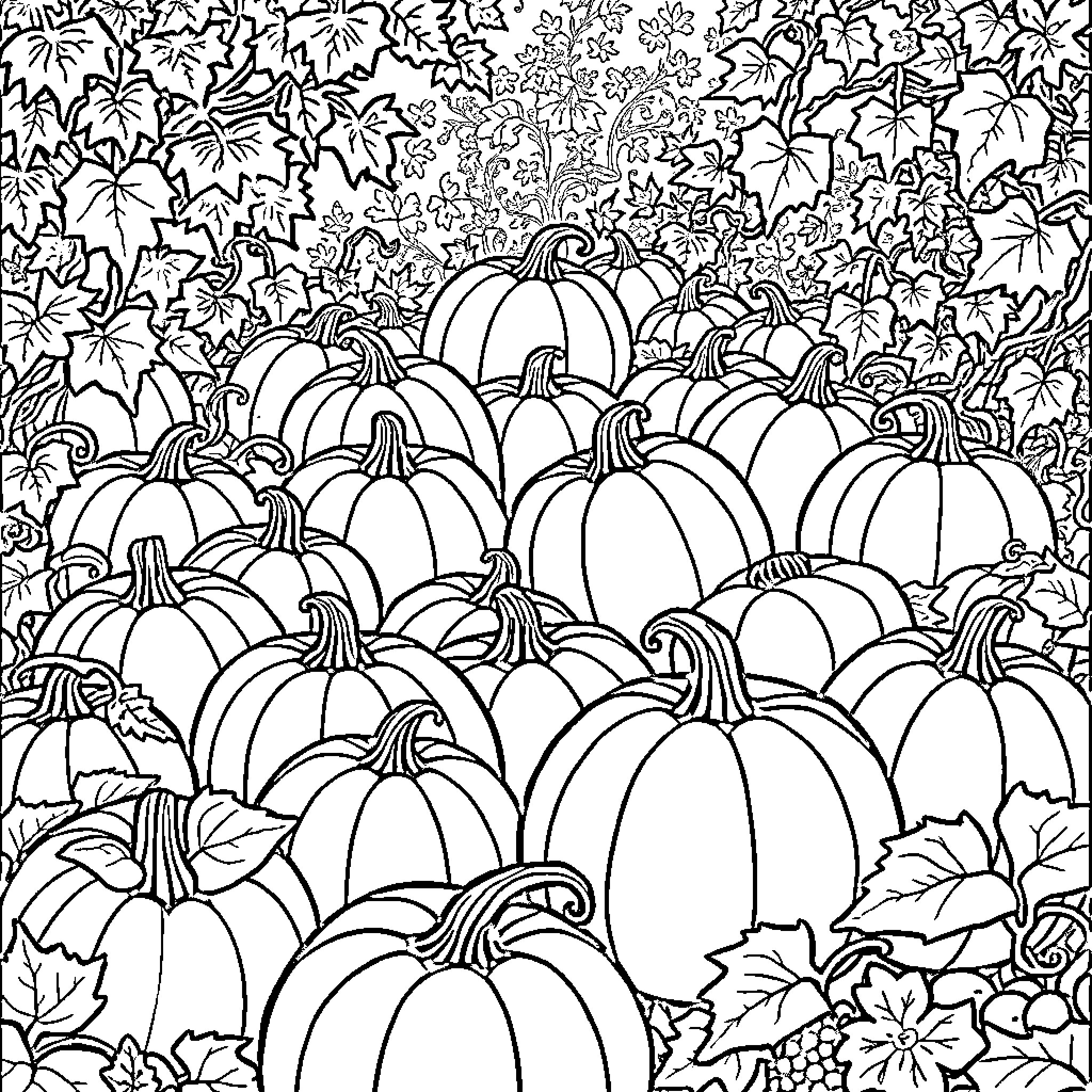 Pumpkin patch filled with intricate designs Coloring Page (free black-and-white line drawing printable PDF for all, from beginners to advanced learners, including children, teens, adults, and seniors)