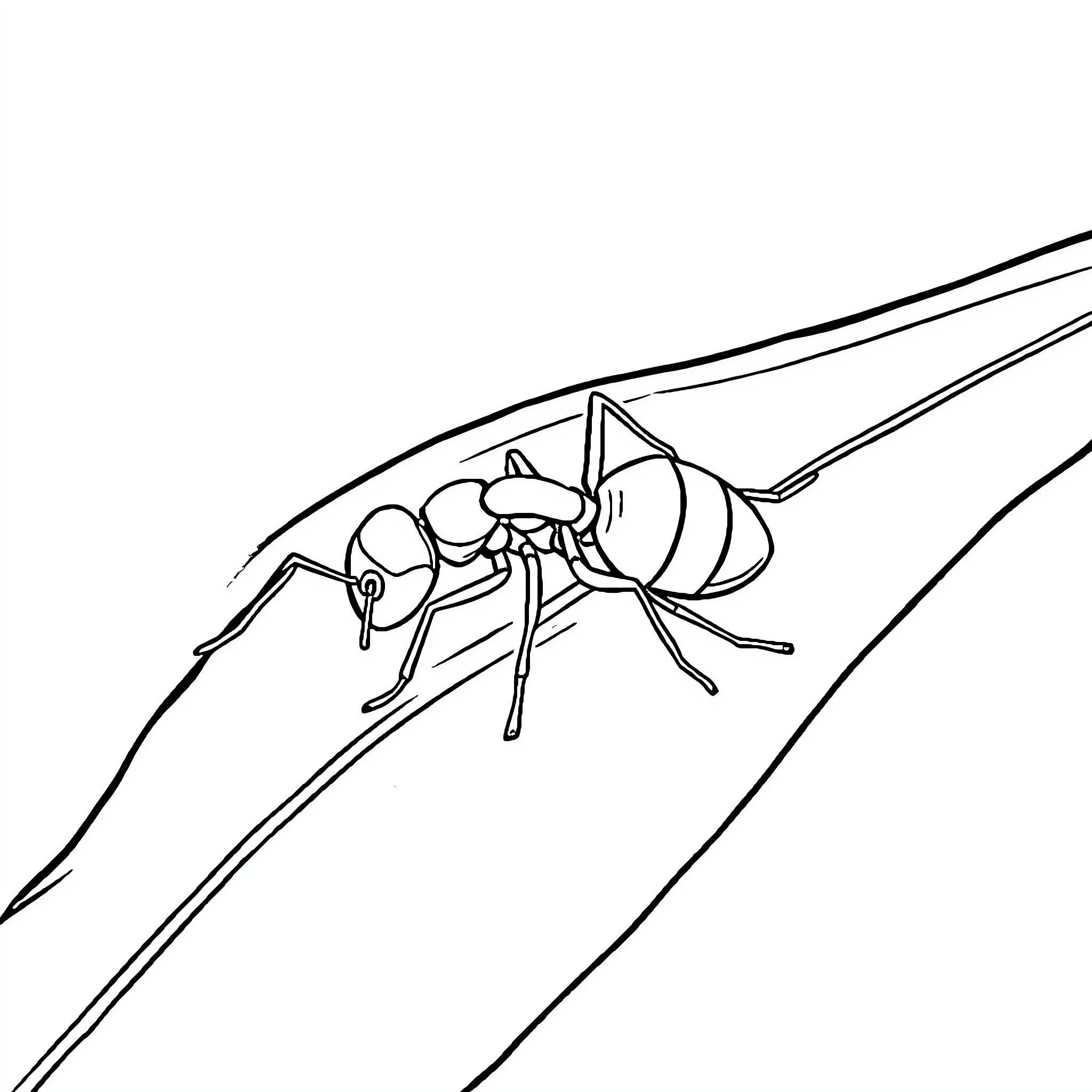 Ant exploring new terrain Coloring Page (free black-and-white line drawing printable PDF for all, from beginners to advanced learners, including children, teens, adults, and seniors)