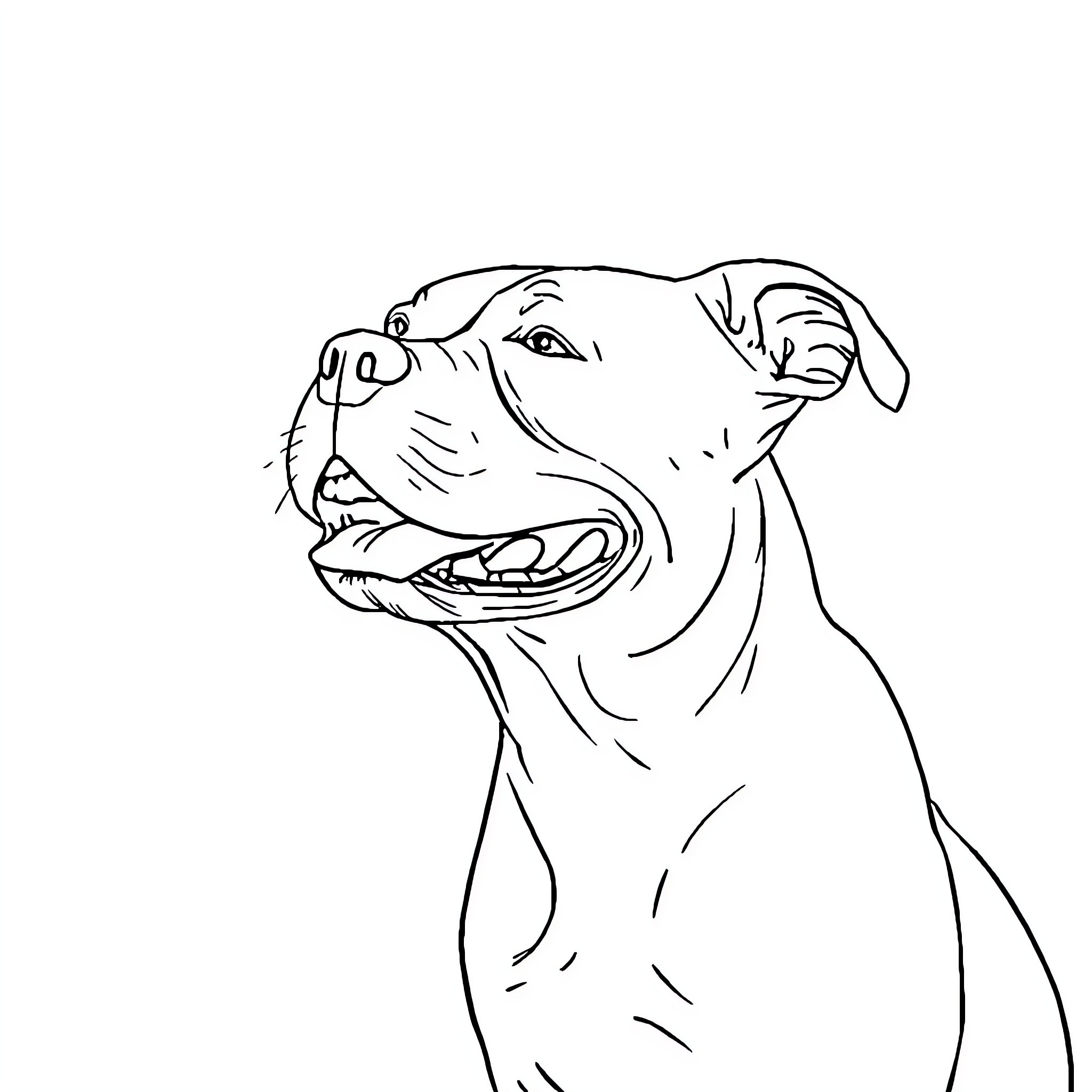 Pitbull Pup Expressing Excitement Coloring Page (free black-and-white line drawing printable PDF for all, from beginners to advanced learners, including children, teens, adults, and seniors)