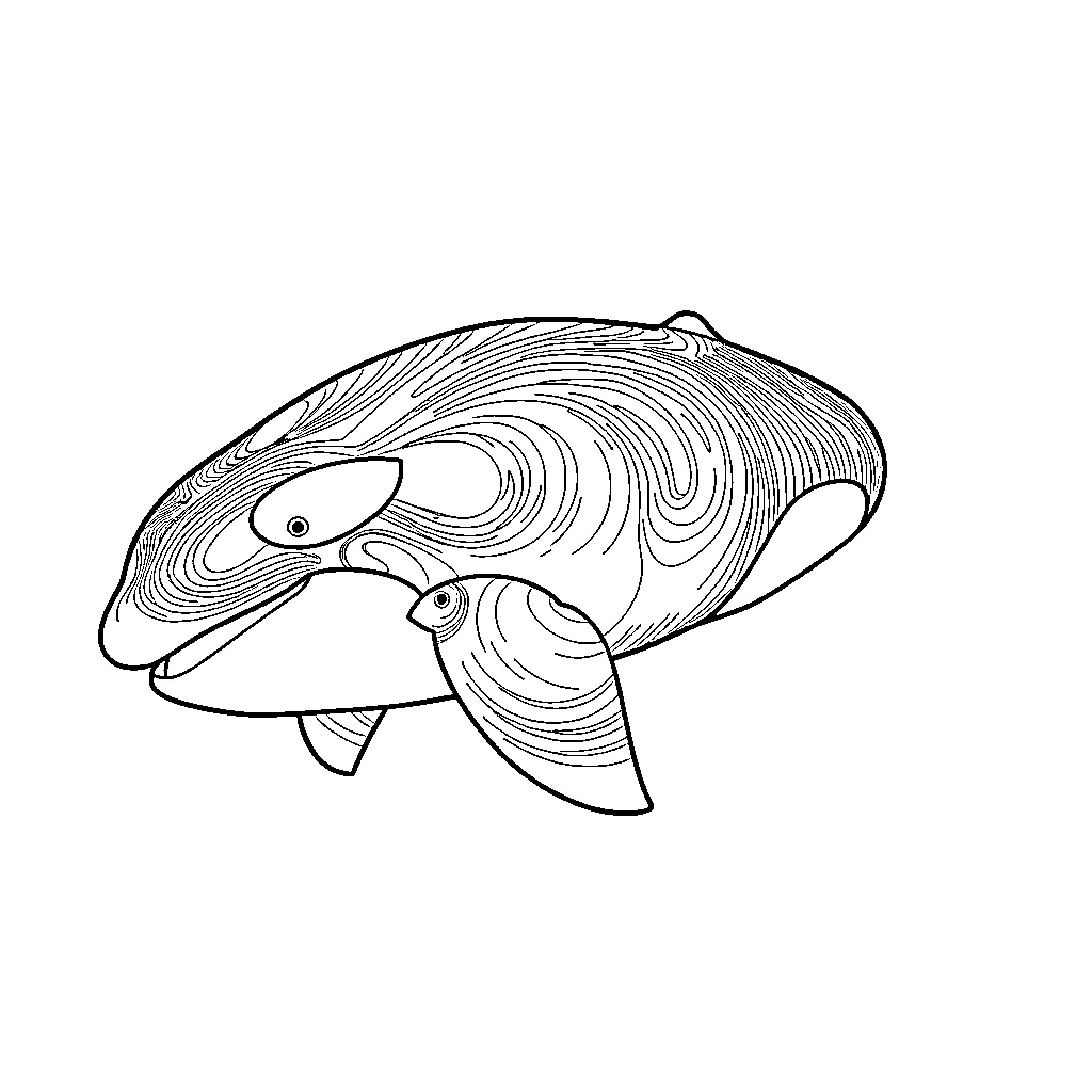 Orca Hunting for Prey in the Waves Coloring Page (free black-and-white line drawing printable PDF for all, from beginners to advanced learners, including children, teens, adults, and seniors)