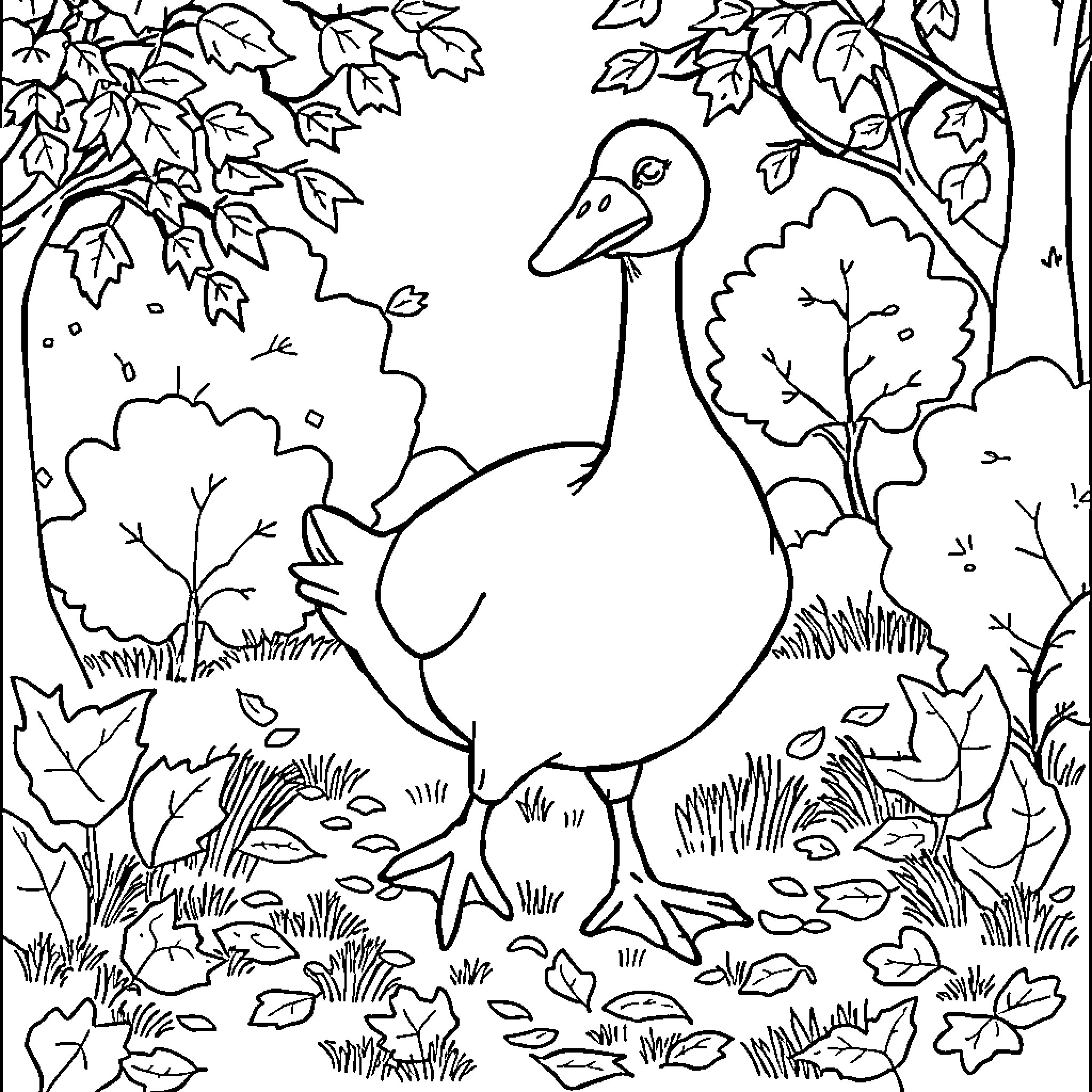 Goose strolling through the autumn forest Coloring Page (free black-and-white line drawing printable PDF for all, from beginners to advanced learners, including children, teens, adults, and seniors)