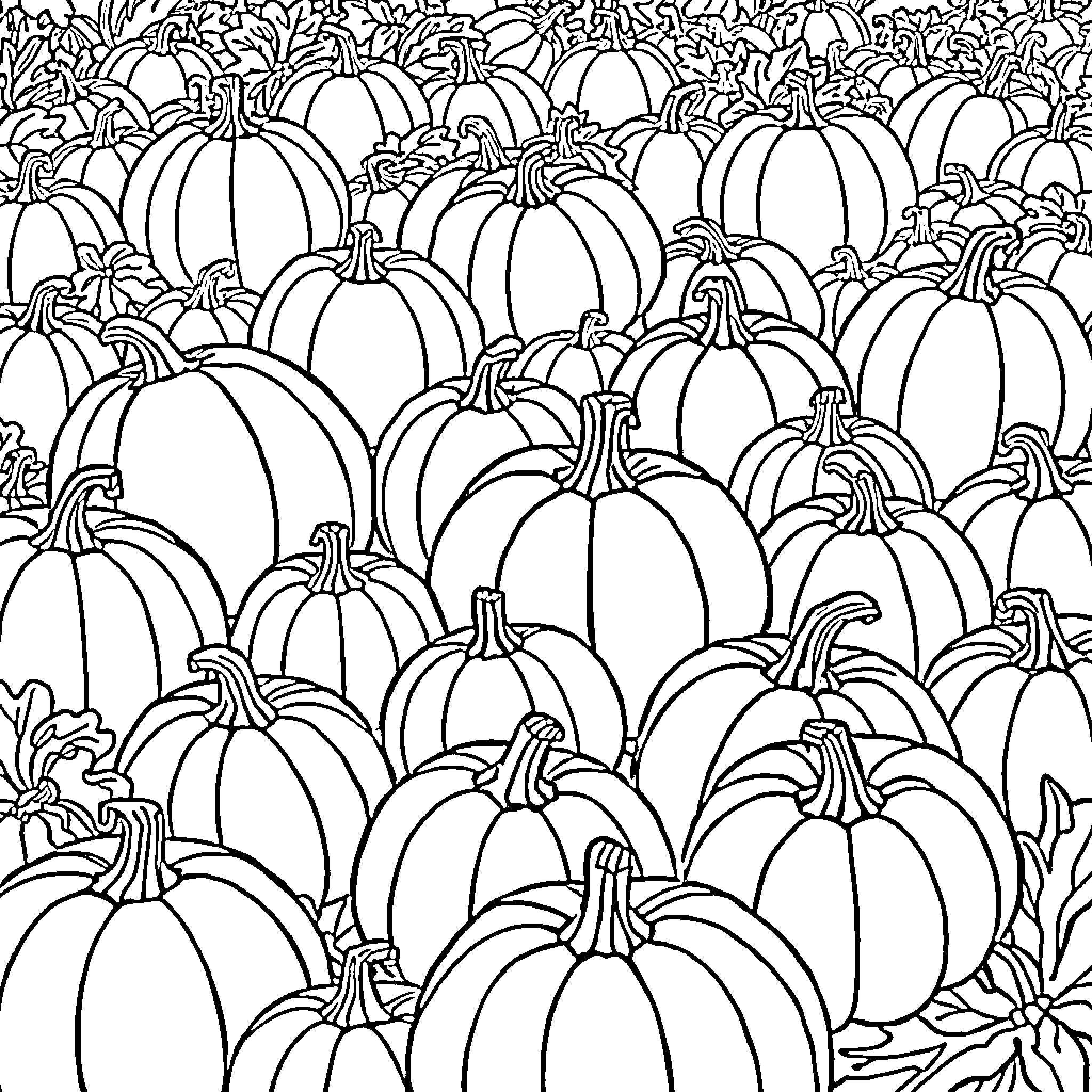 Pumpkin Patch of Pumpkin Shapes and Silhouettes Coloring Page (free black-and-white line drawing printable PDF for all, from beginners to advanced learners, including children, teens, adults, and seniors)