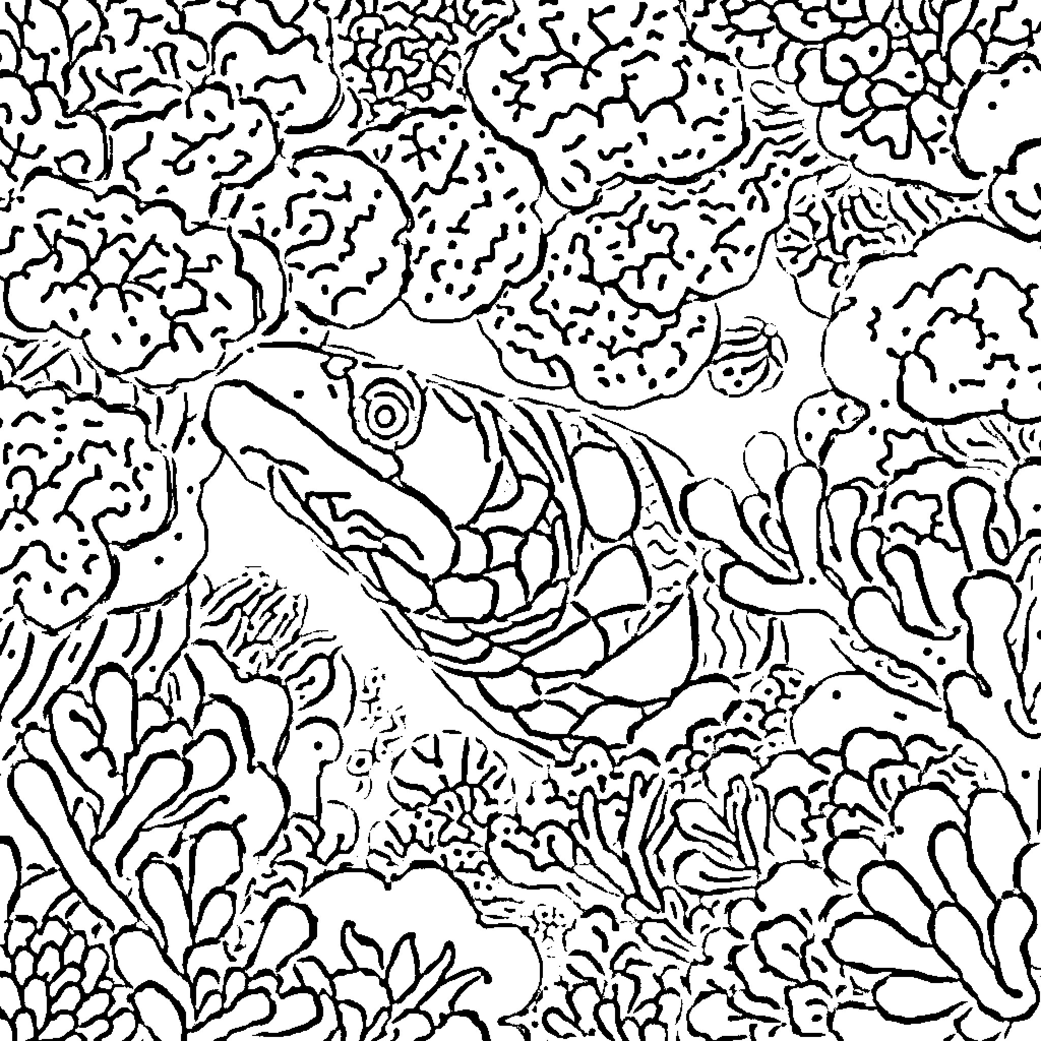 Moray Eel hidden amongst vibrant coral reef Coloring Page (free black-and-white line drawing printable PDF for all, from beginners to advanced learners, including children, teens, adults, and seniors)