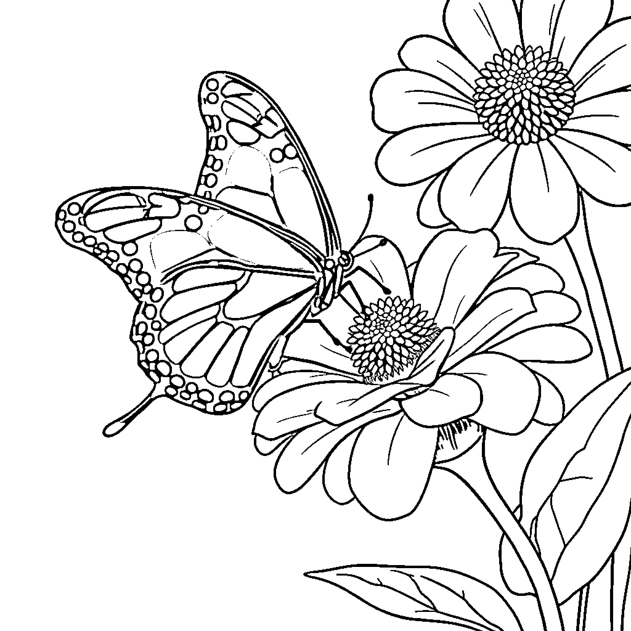 Butterfly resting on vibrant floral blooms Coloring Page (free black-and-white line drawing printable PDF for all, from beginners to advanced learners, including children, teens, adults, and seniors)