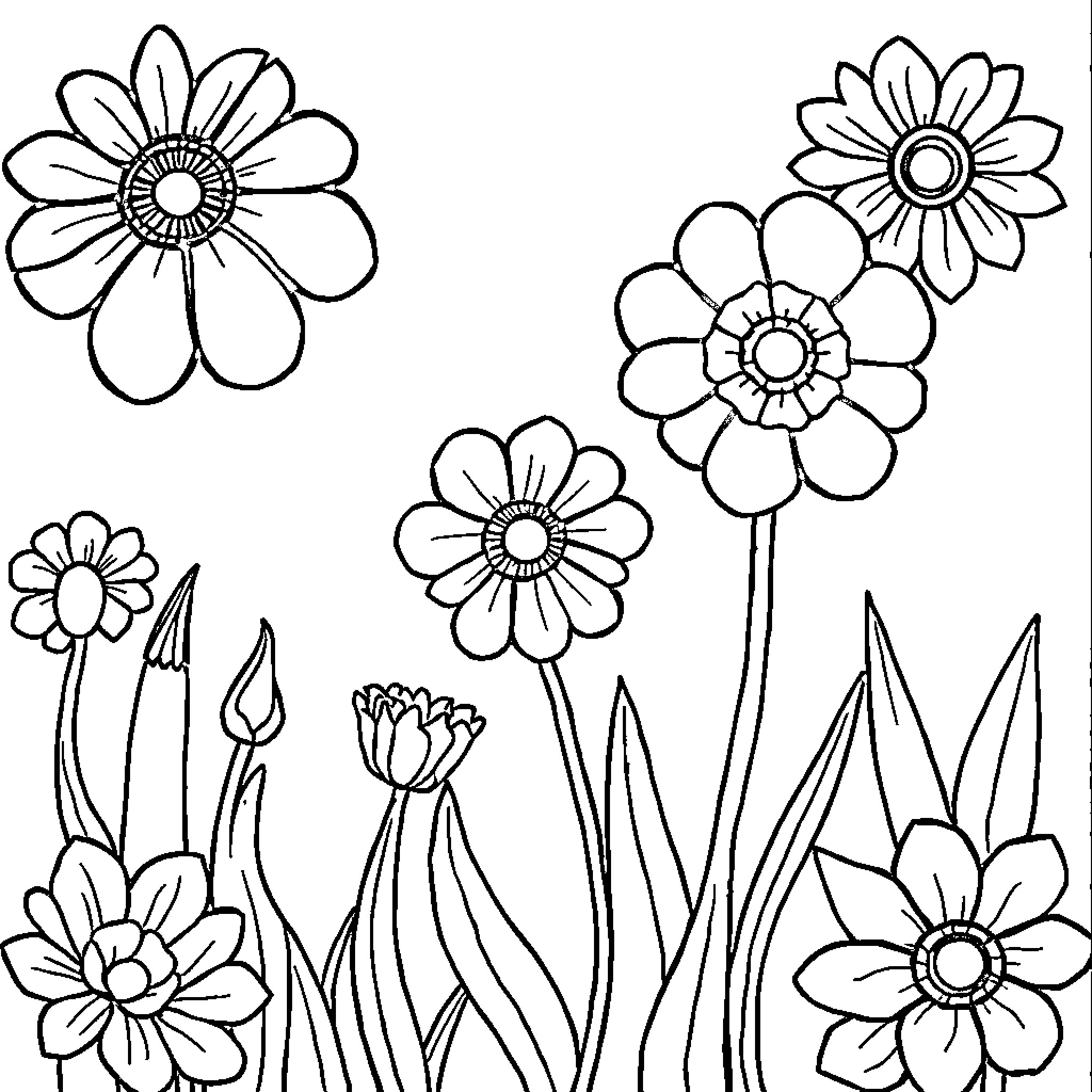 Drawing of Blooming Flowers in the Garden Coloring Page (free black-and-white line drawing printable PDF for all, from beginners to advanced learners, including children, teens, adults, and seniors)