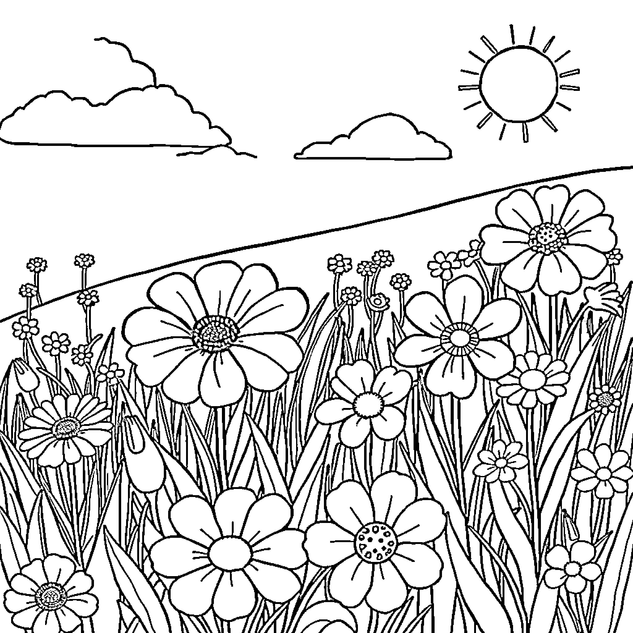 Flower field blooming under the sun's rays Coloring Page (free black-and-white line drawing printable PDF for all, from beginners to advanced learners, including children, teens, adults, and seniors)