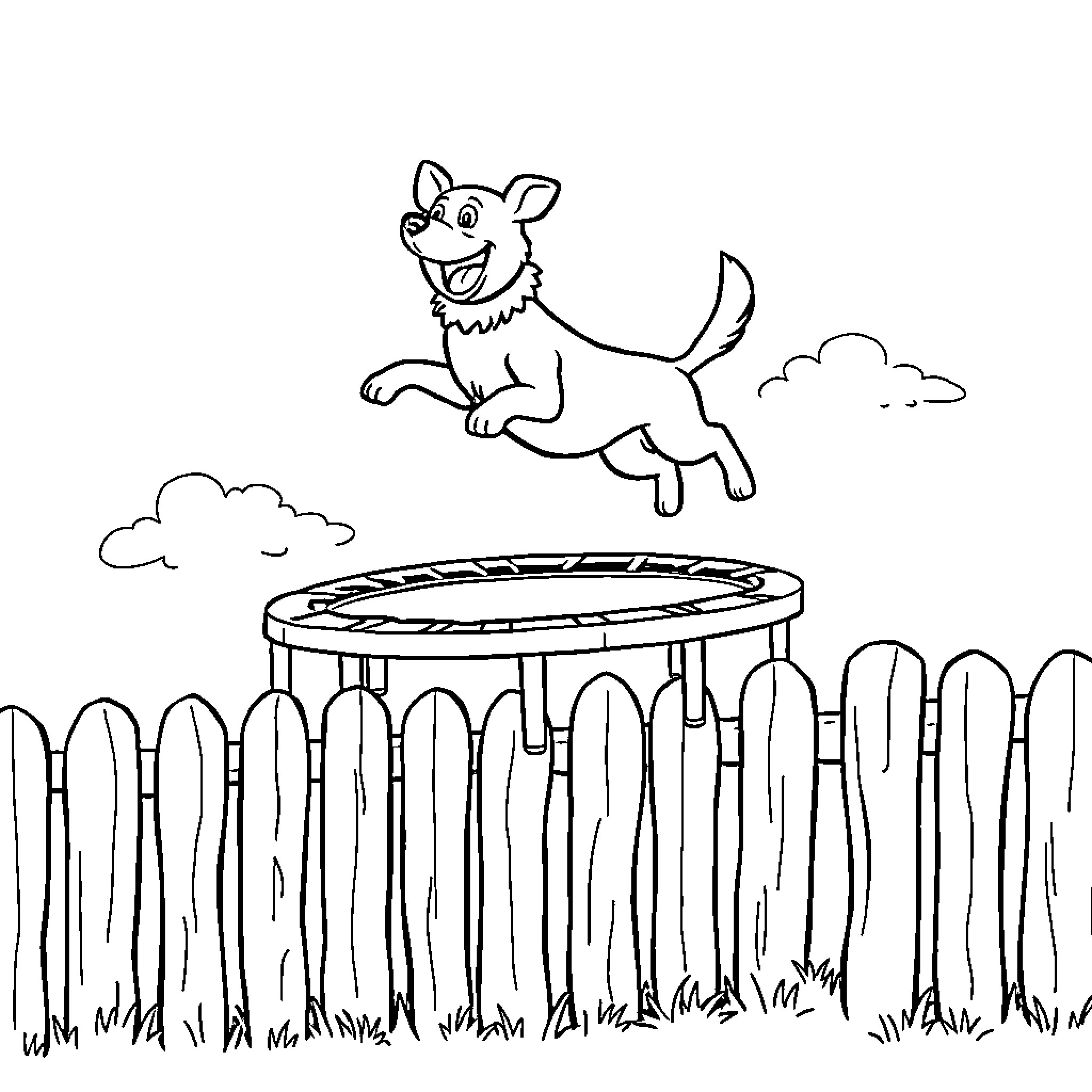 Dog bouncing happily on a trampoline Coloring Page (free black-and-white line drawing printable PDF for all, from beginners to advanced learners, including children, teens, adults, and seniors)